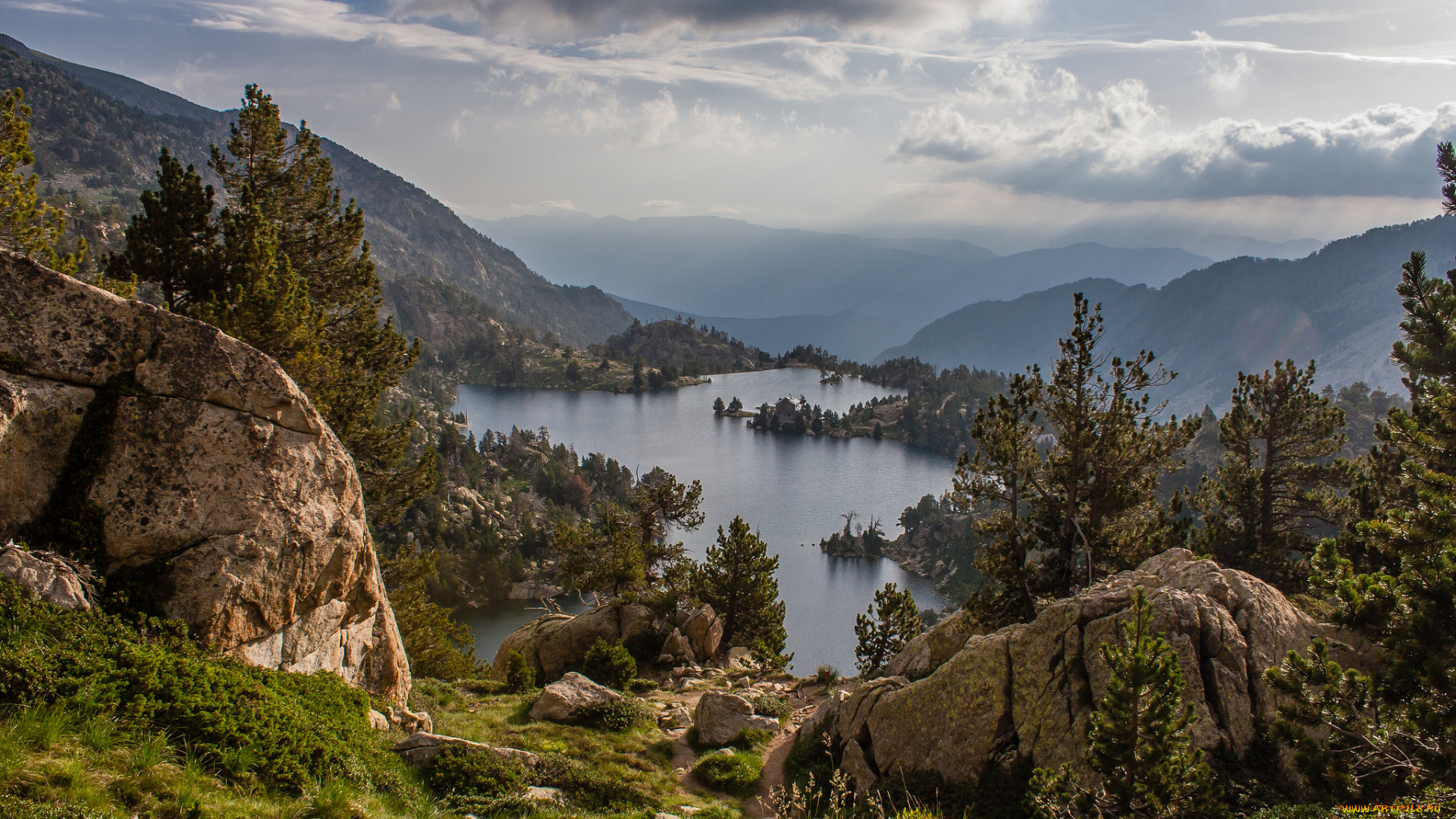 природа, реки, озера, лес, река