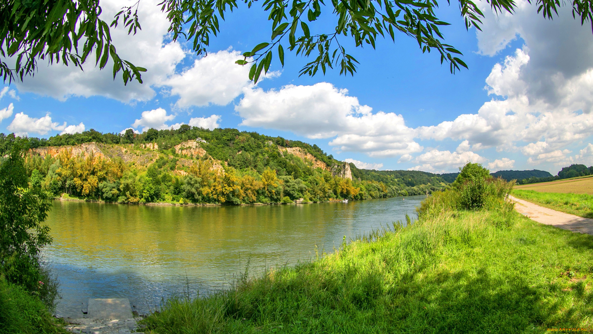 природа, реки, озера, oberndorf, германия, деревья, трава, берег, небо, облака, ветки, река, зелень, солнце, лето