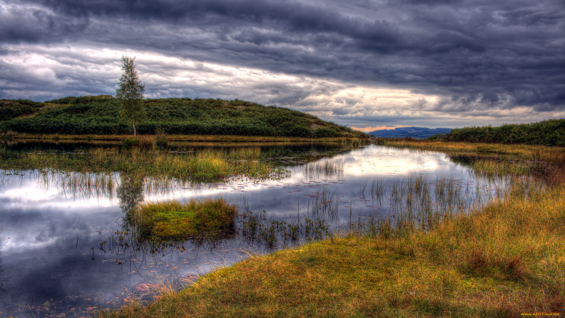 природа, реки, озера, река, лес