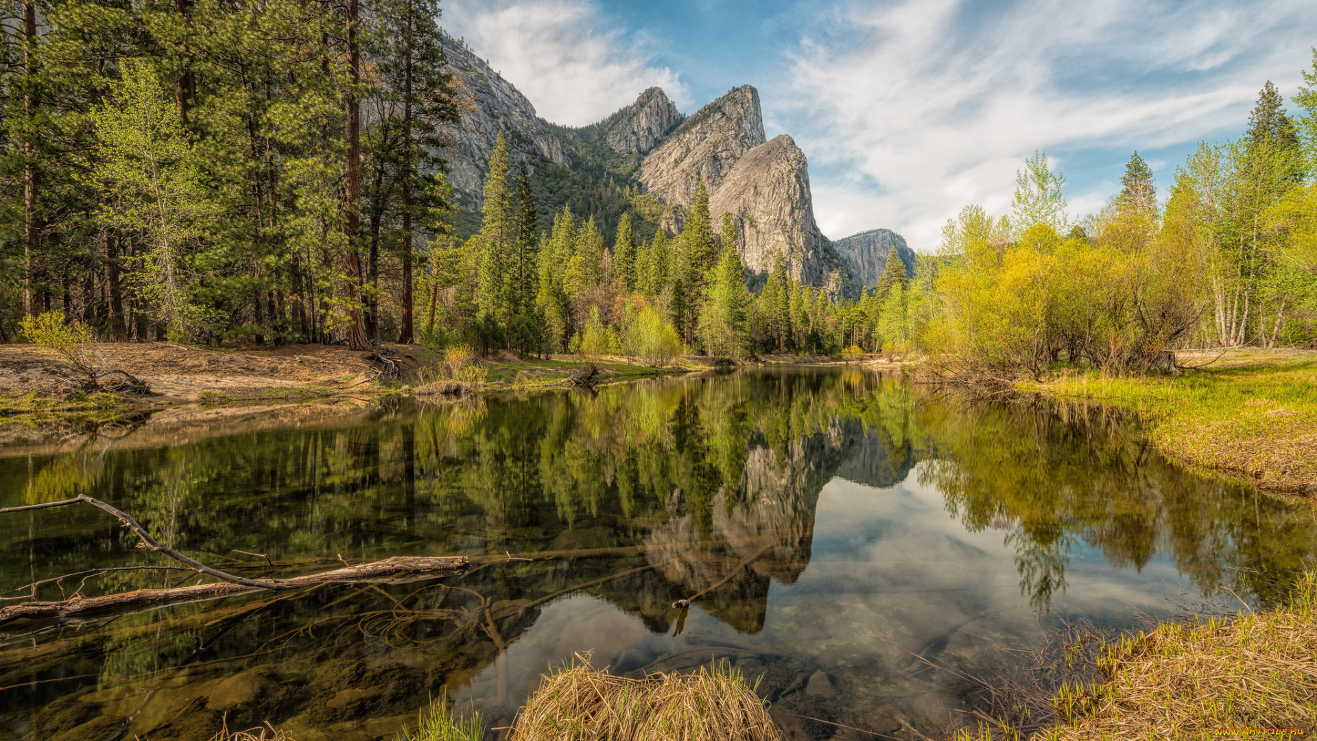 природа, реки, озера, река, лес