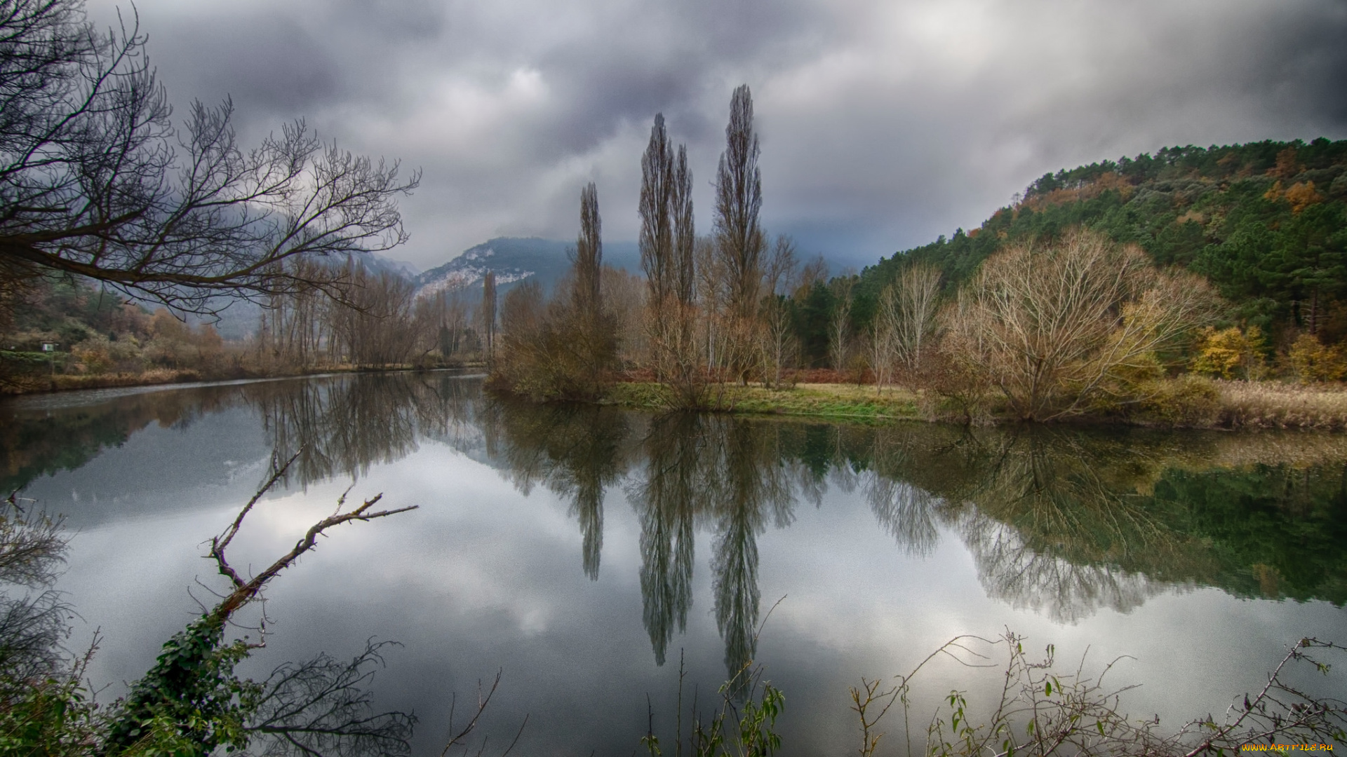 природа, реки, озера, река, лес