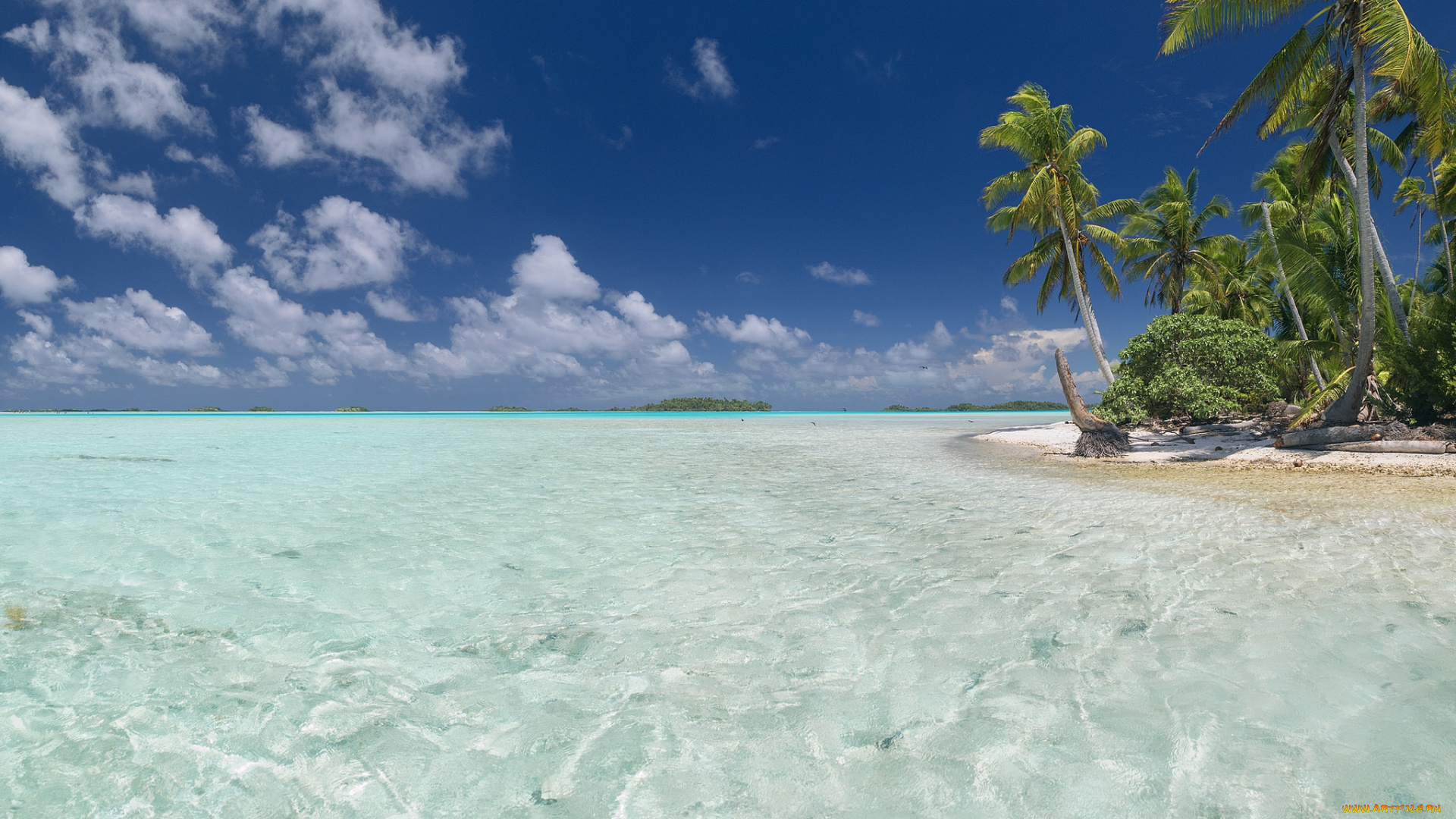 природа, тропики, курорт, океан