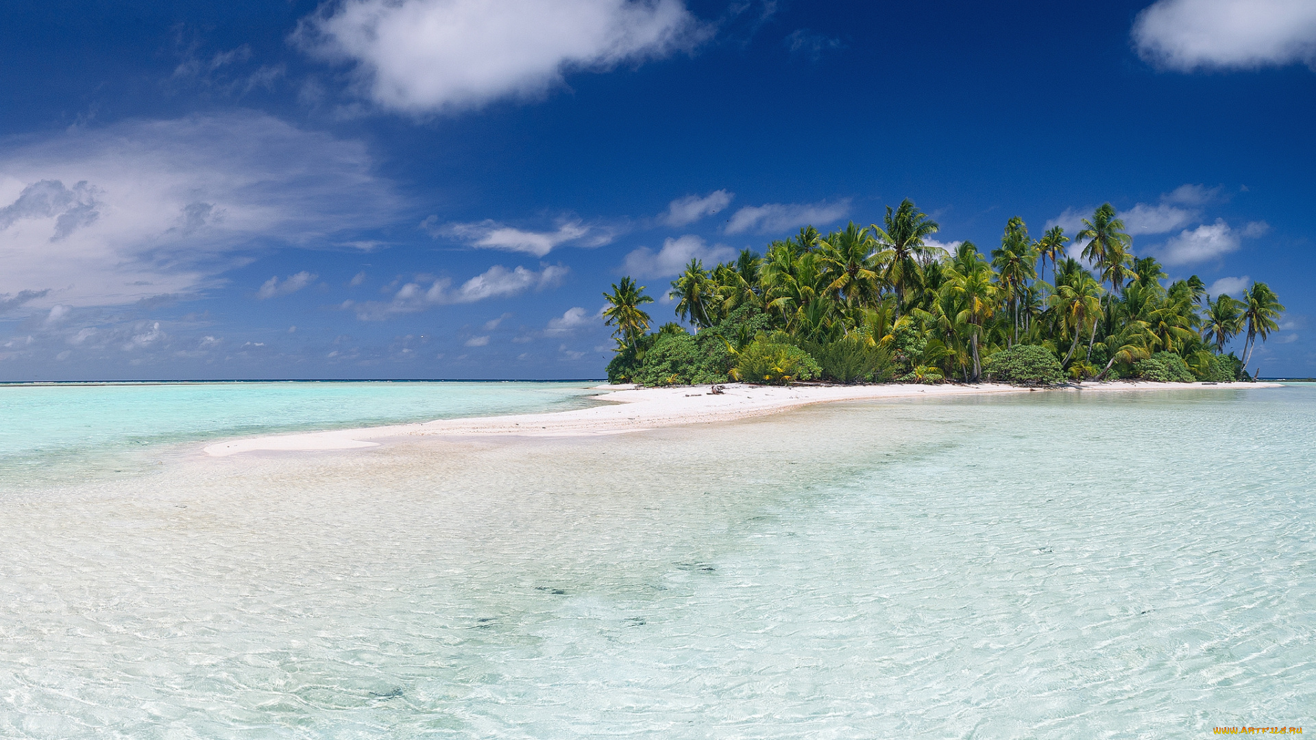 природа, тропики, курорт, океан