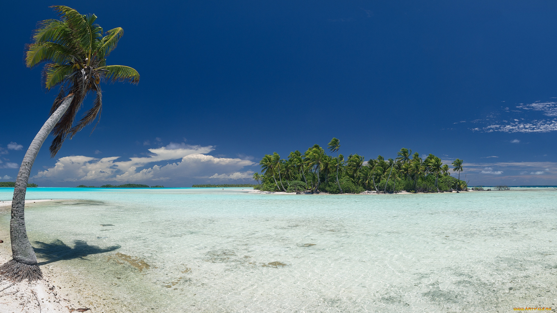 природа, тропики, курорт, океан