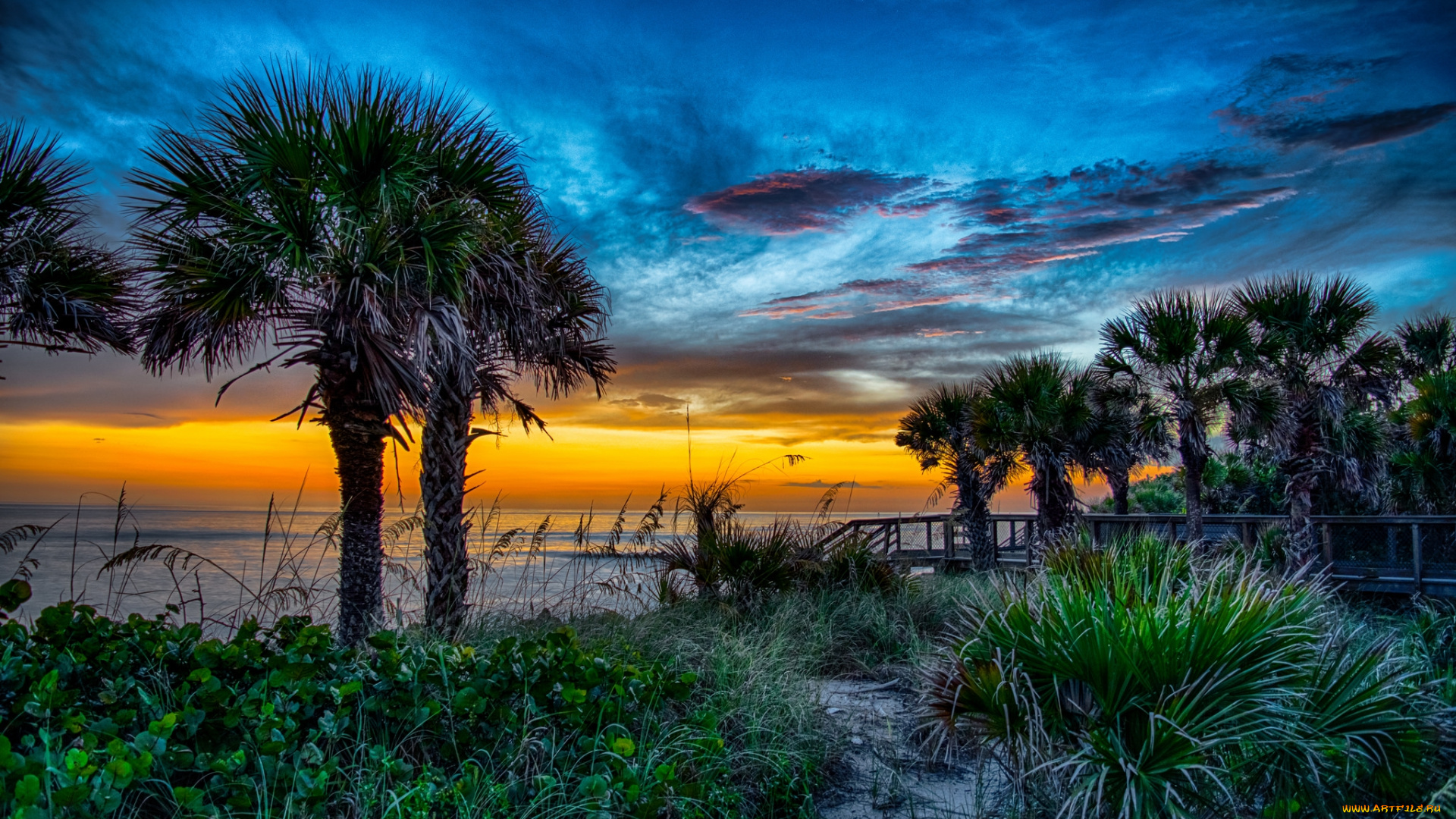 природа, тропики, курорт, океан