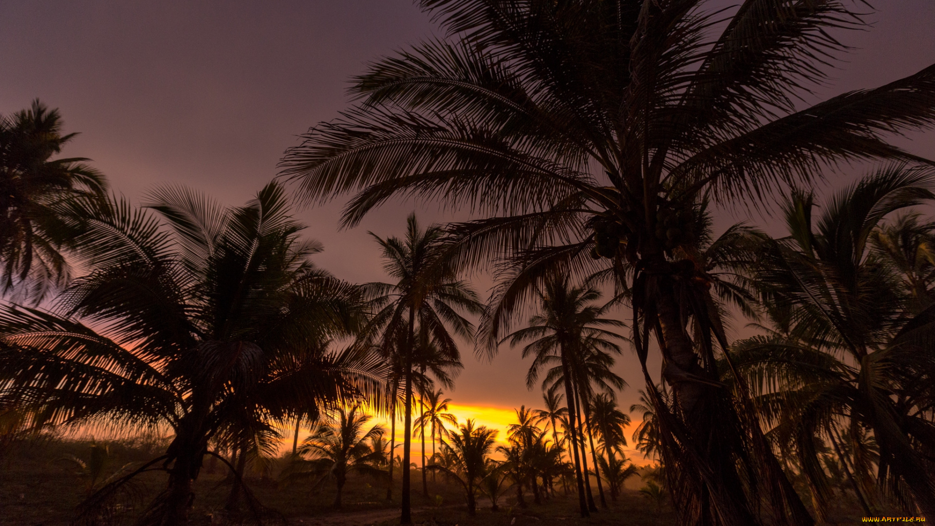 природа, тропики, курорт, океан