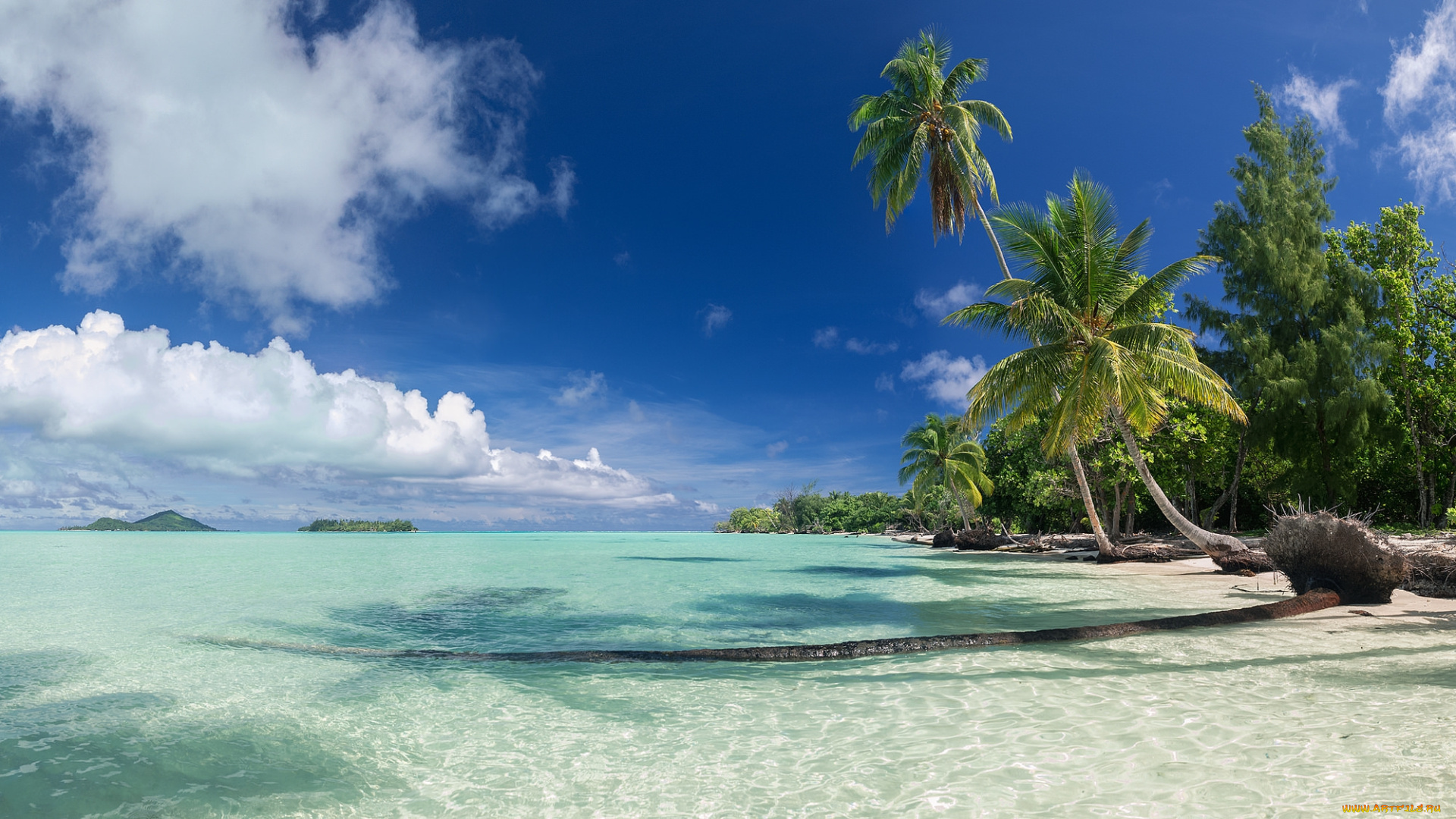 природа, тропики, океан, курорт