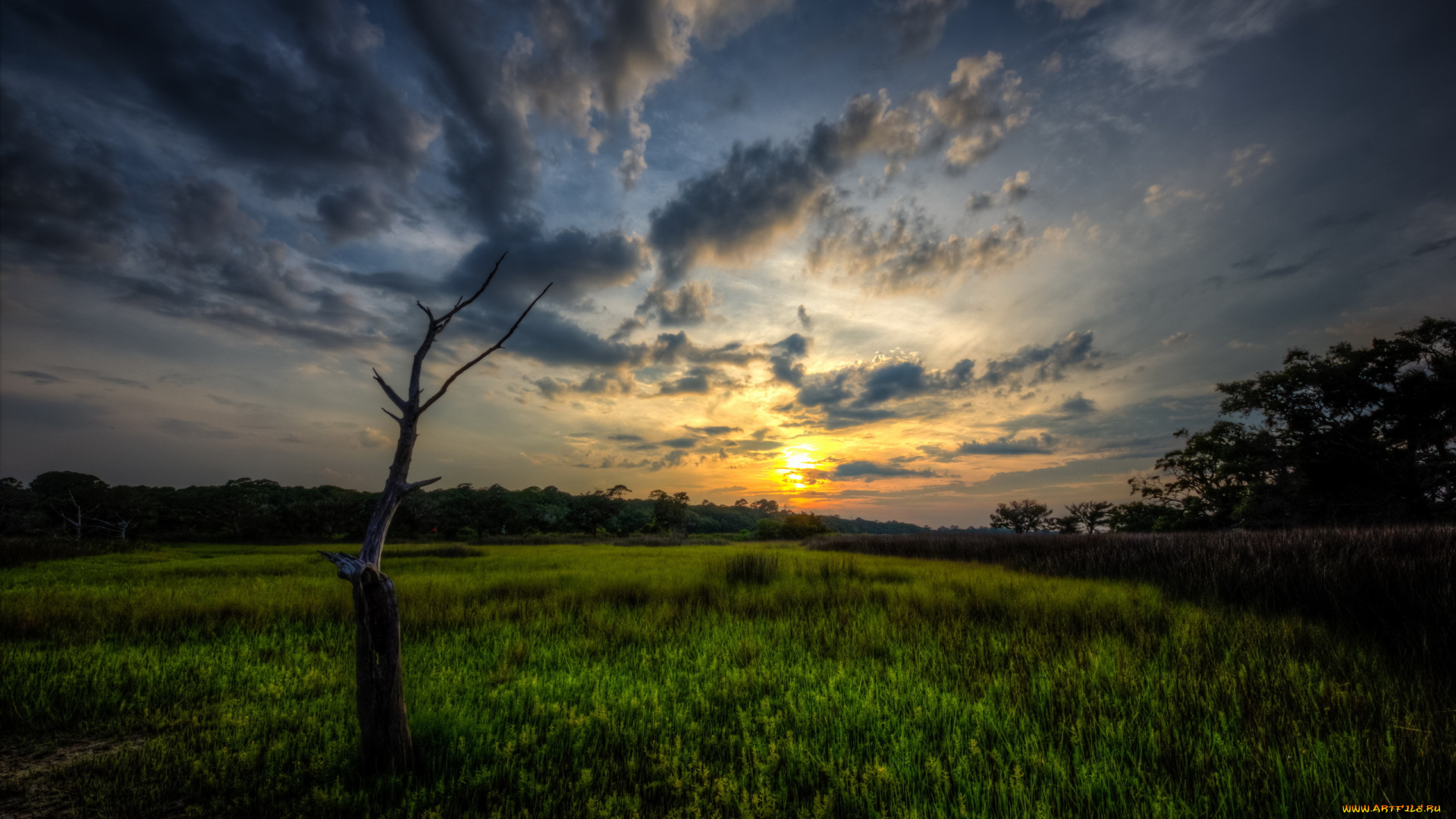 природа, восходы, закаты, пейзаж, дерево, поле, закат