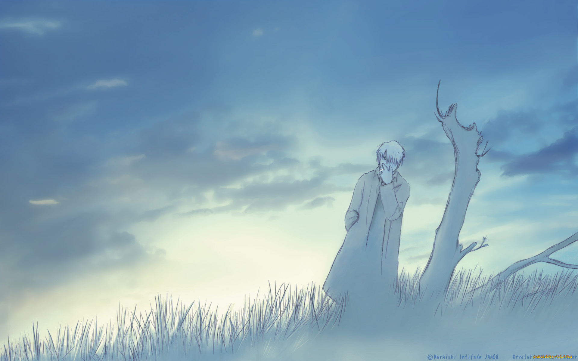 аниме, mushishi, ginko