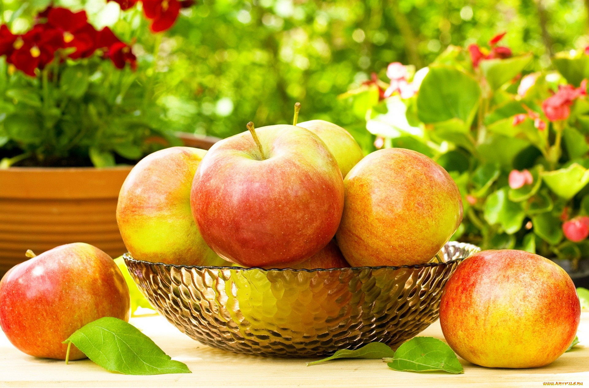 еда, Яблоки, блюдо, фрукты, фон