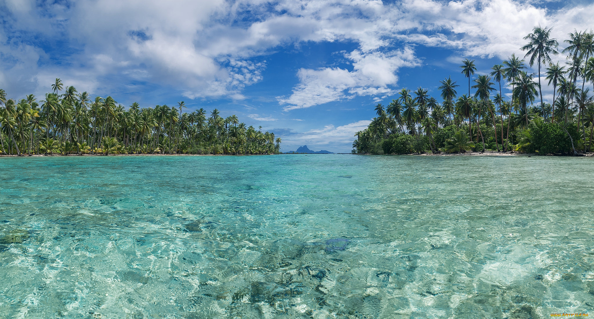 природа, тропики, курорт, океан