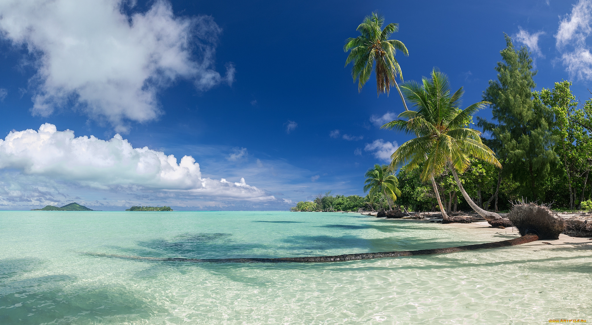 природа, тропики, океан, курорт