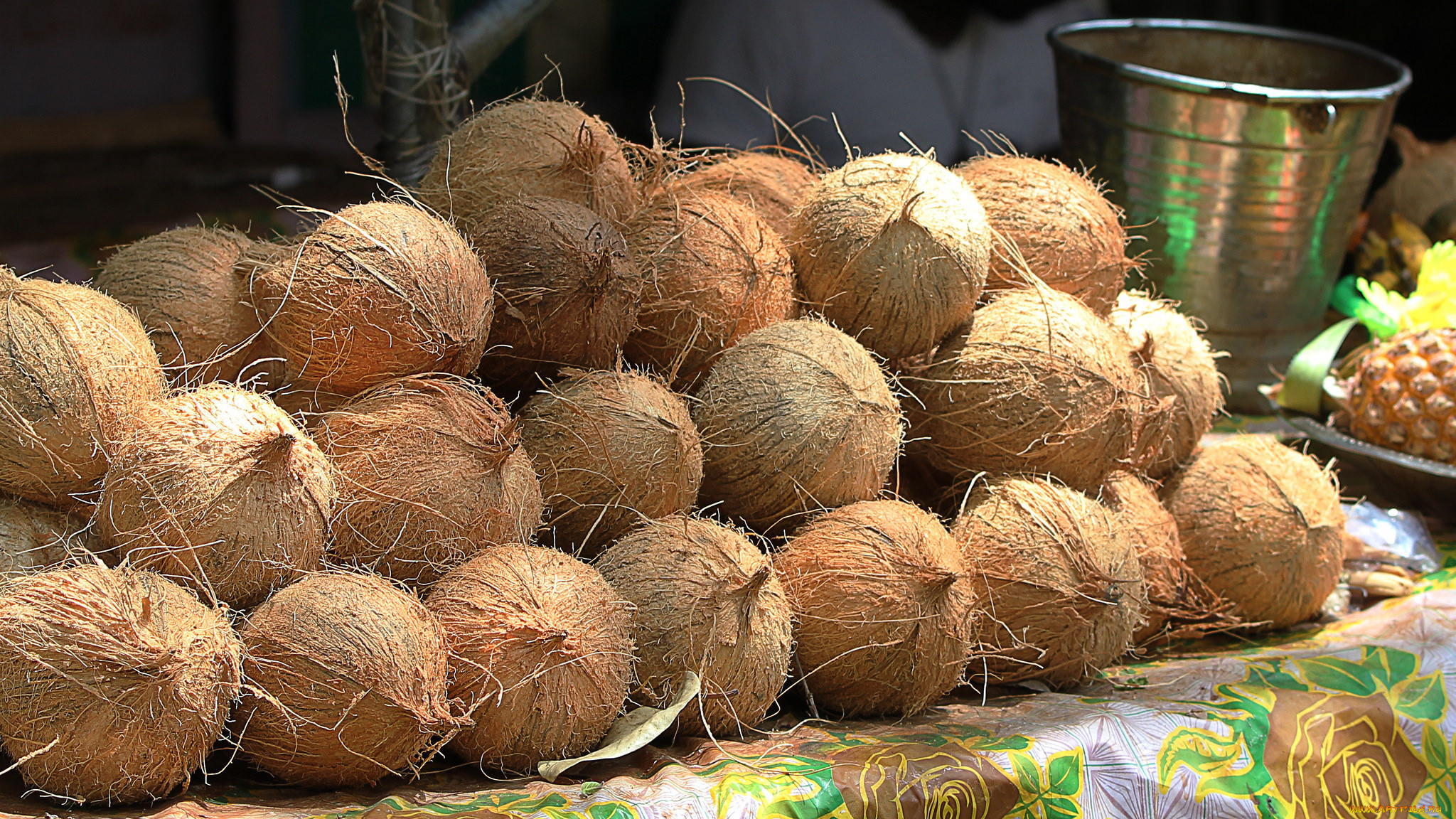 еда, кокос, кокосы