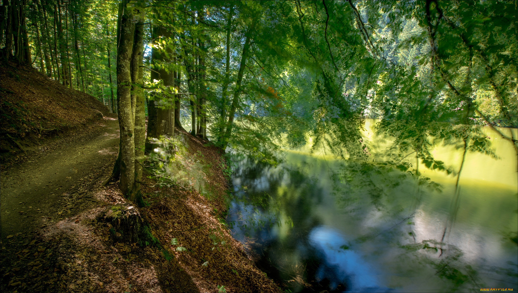 природа, реки, озера, лес, река