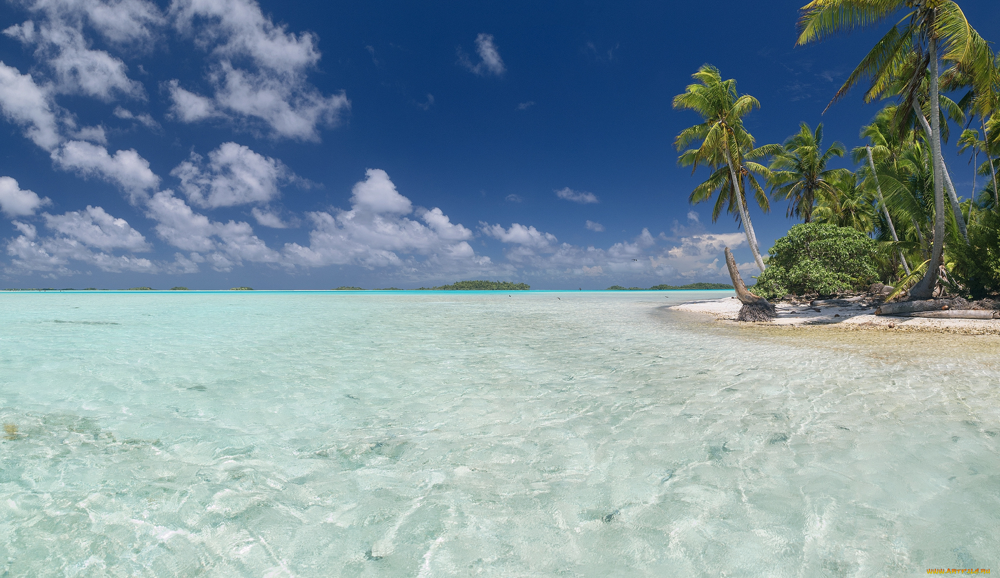 природа, тропики, курорт, океан