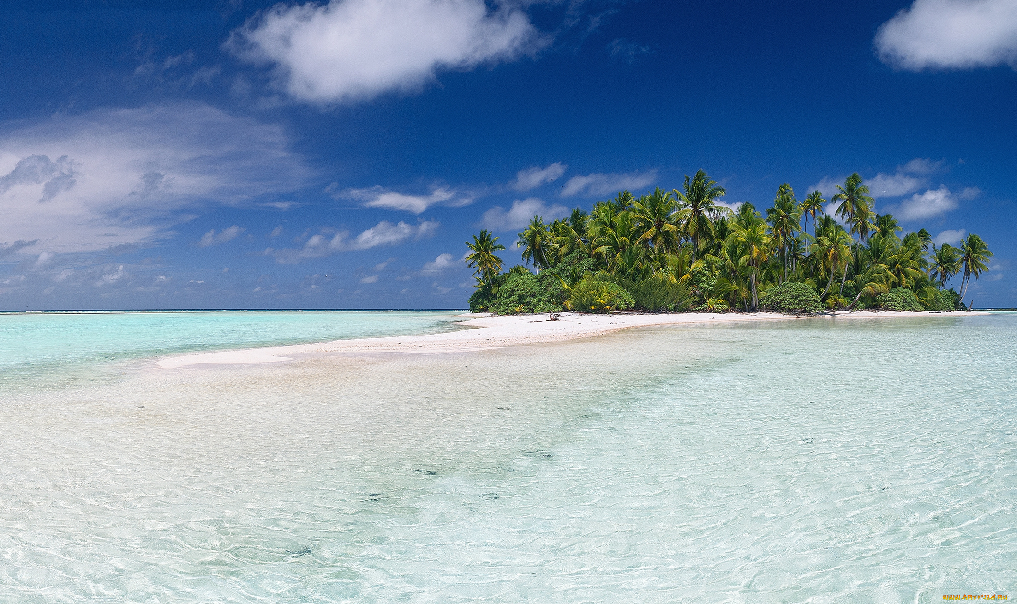 природа, тропики, курорт, океан