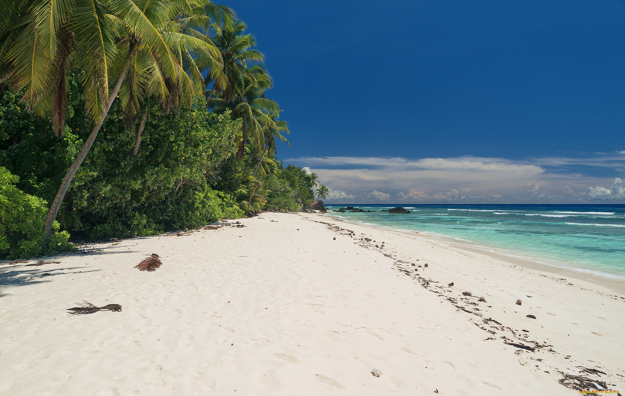 природа, тропики, курорт, океан