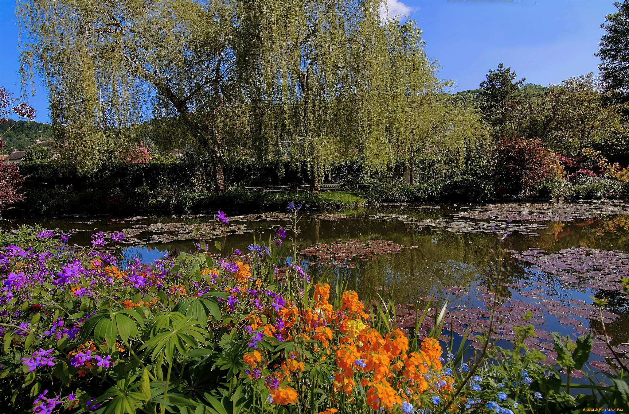 природа, реки, озера, лес, река