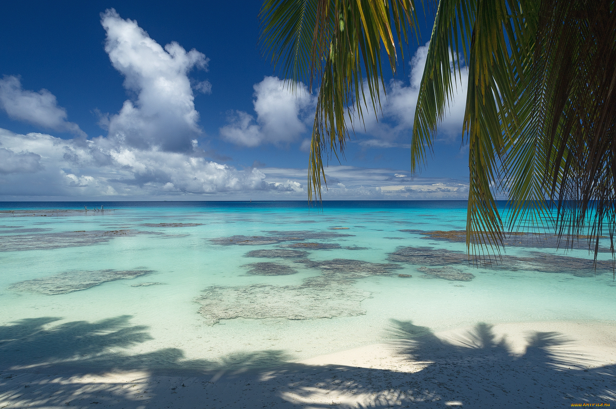 природа, тропики, курорт, океан