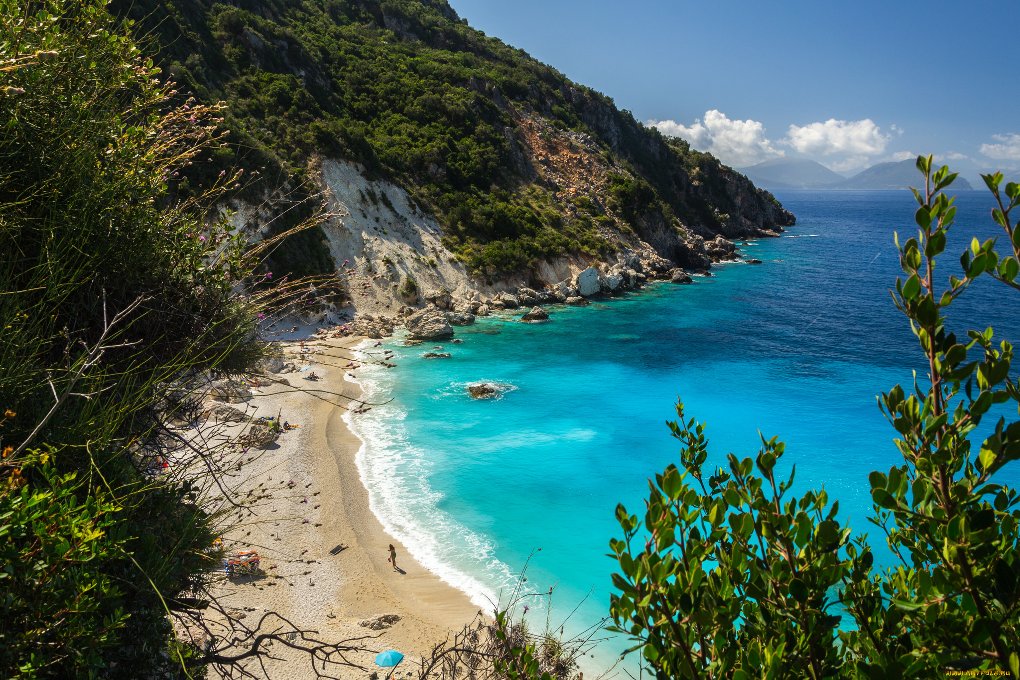 природа, побережье, река, лес