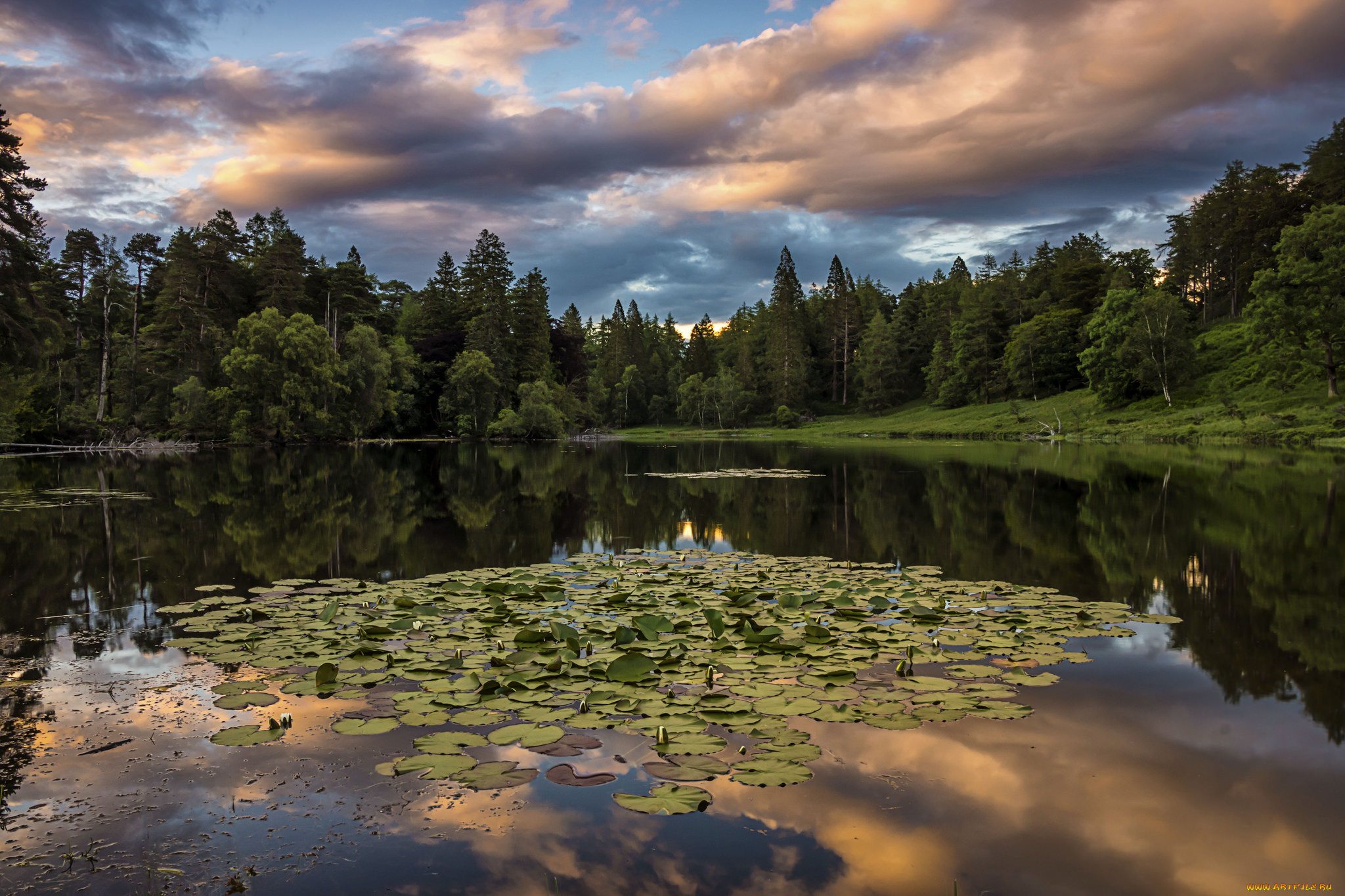 природа, реки, озера, река, лес