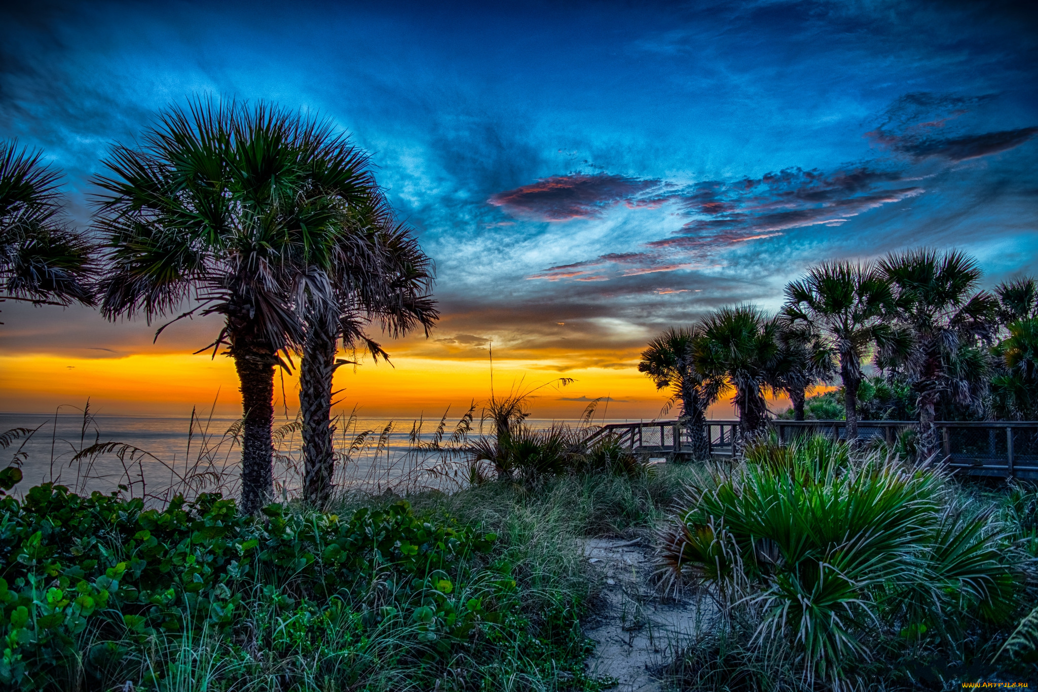 природа, тропики, курорт, океан