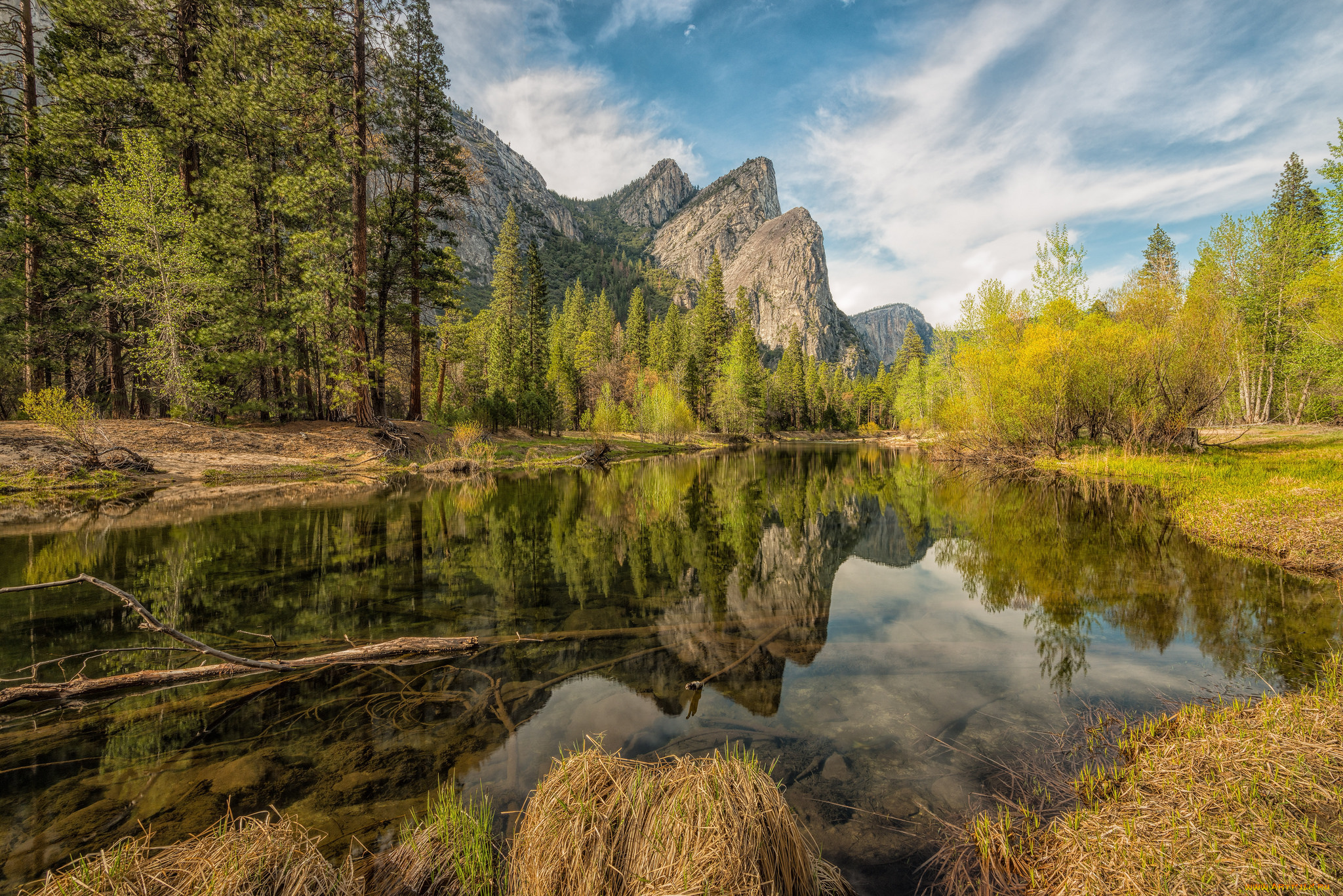 природа, реки, озера, река, лес