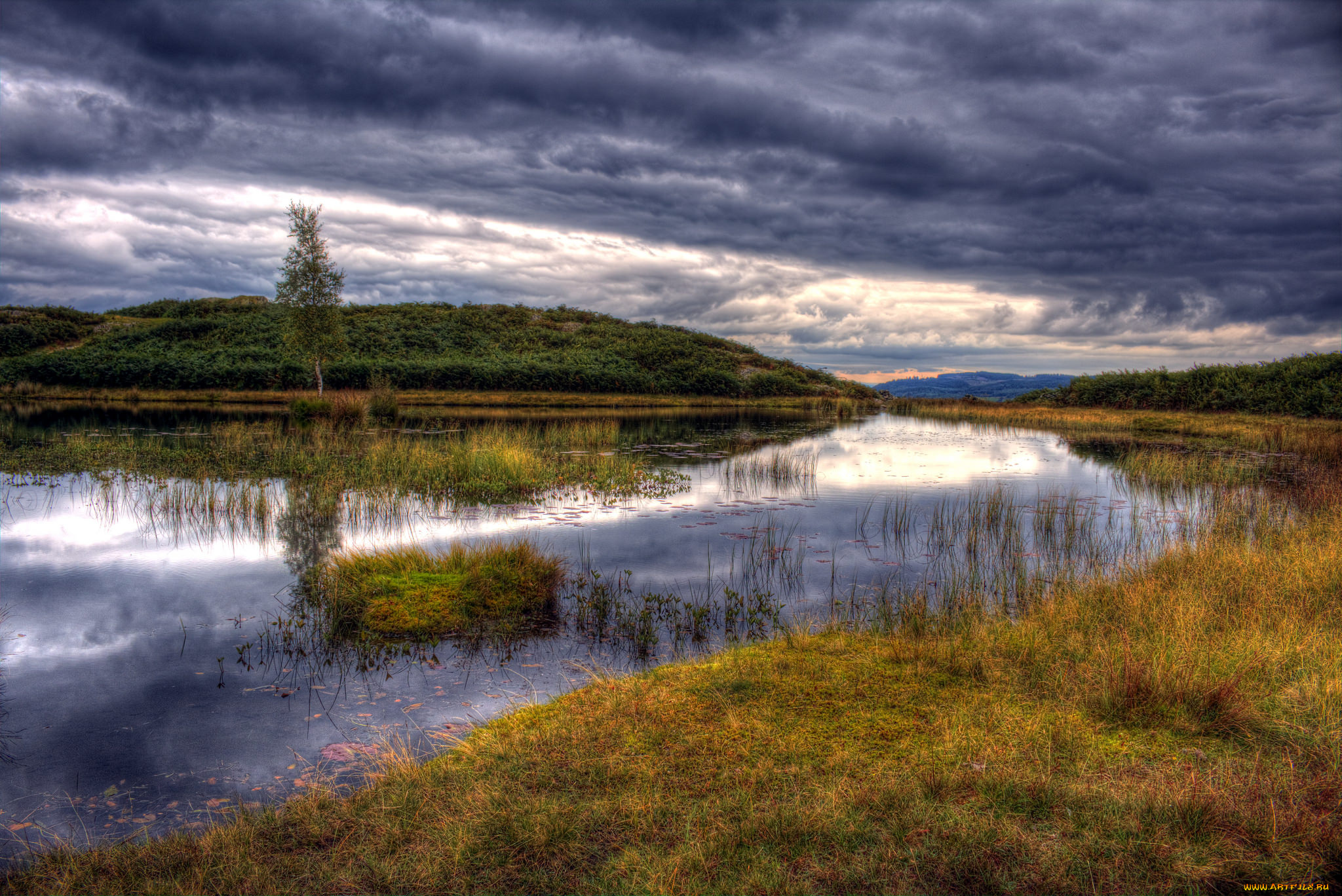 природа, реки, озера, река, лес