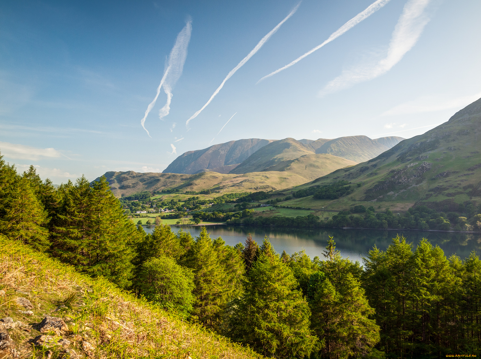 природа, реки, озера, лес, река