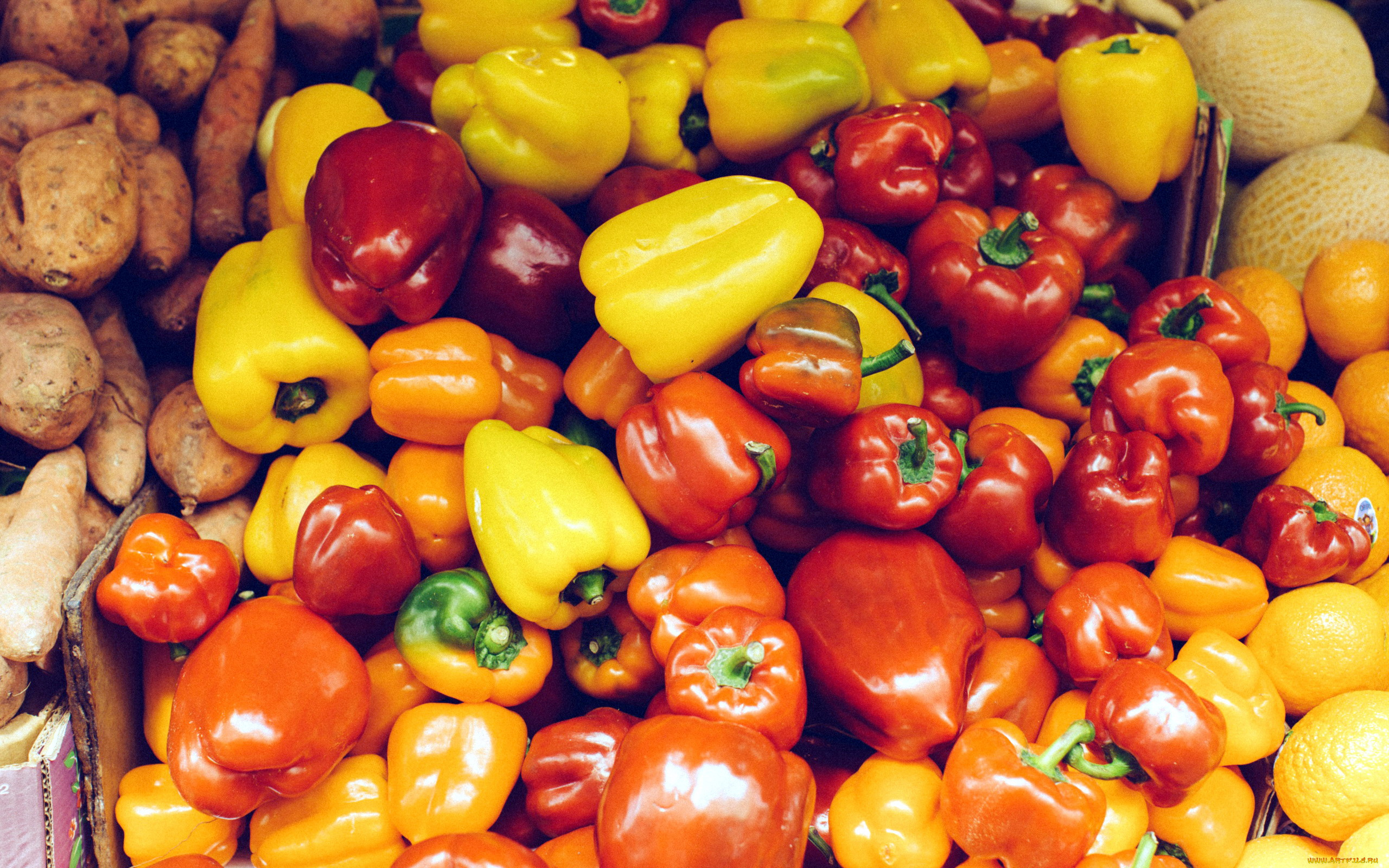 еда, перец, разноцветные