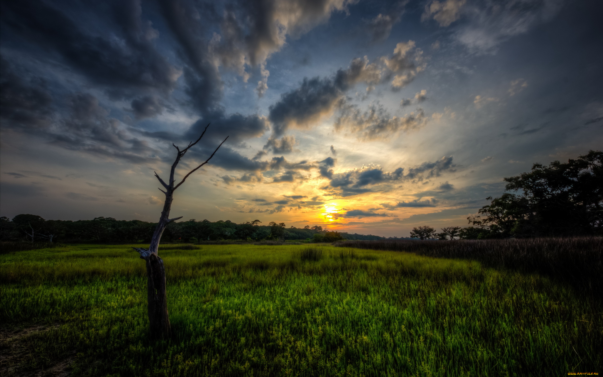 природа, восходы, закаты, пейзаж, дерево, поле, закат