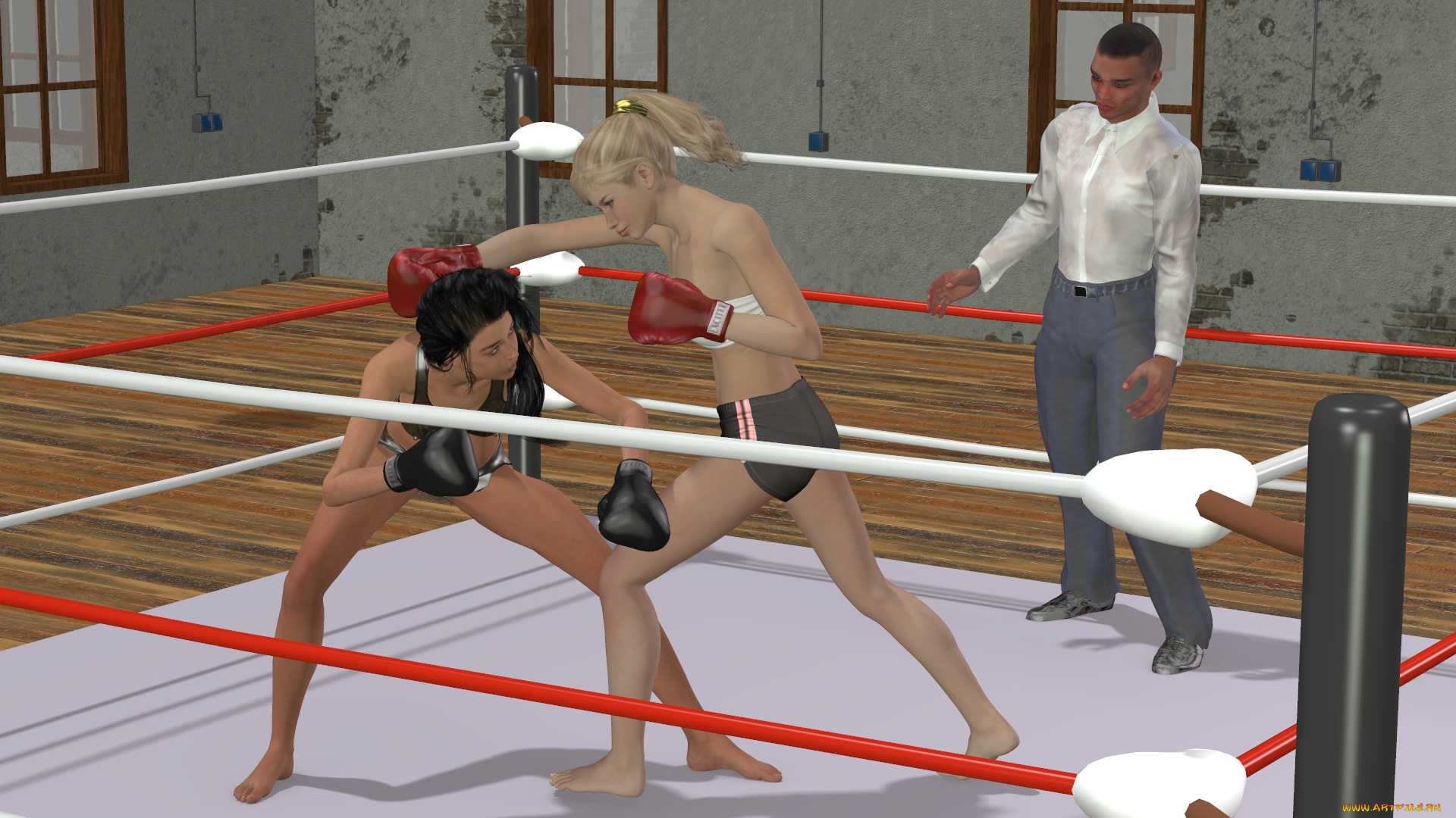 3д, графика, спорт, , sport, бокс, фон, ринг, взгляд, девушки