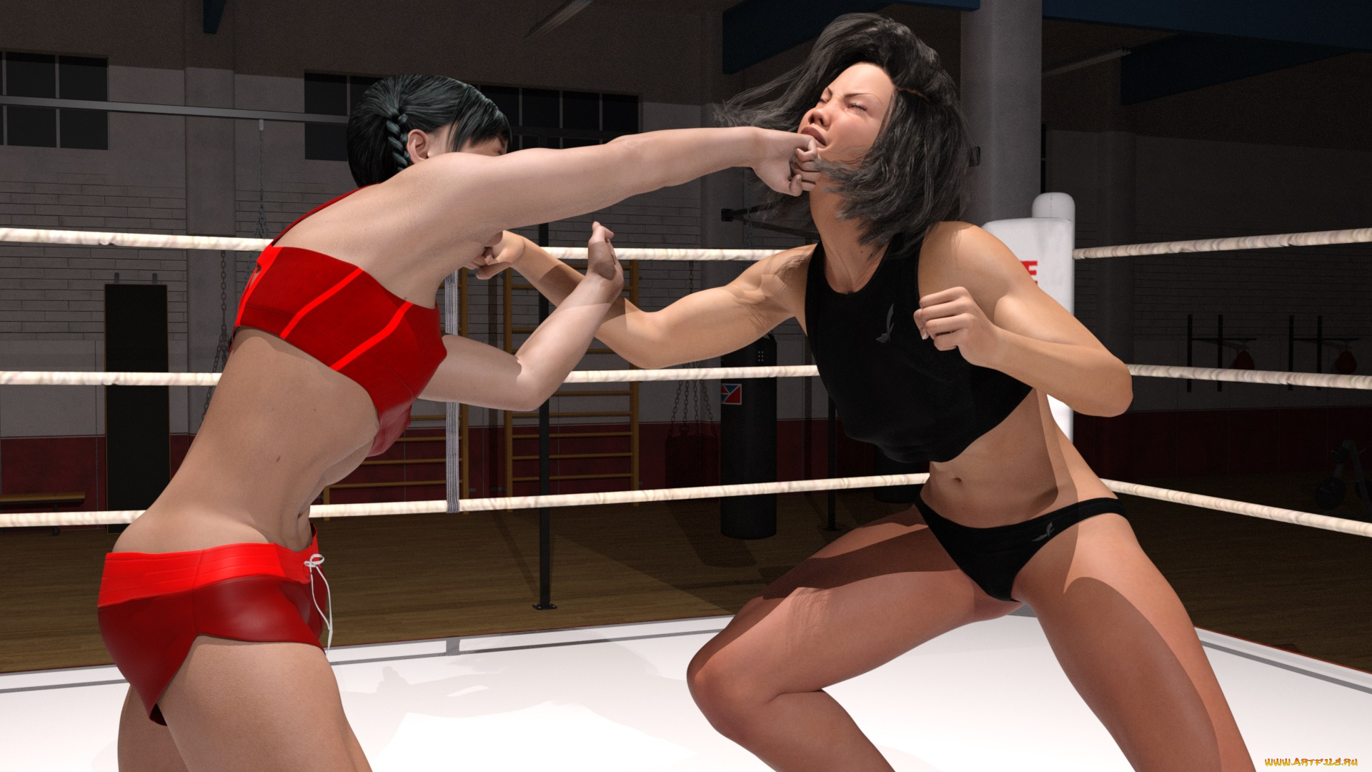 3д, графика, спорт, , sport, бокс, ринг, фон, взгляд, девушки