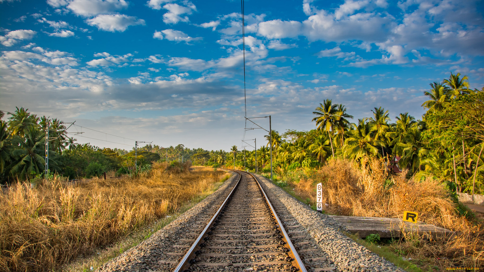 природа, дороги, простор