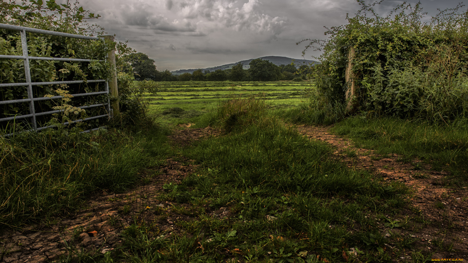 природа, дороги, простор