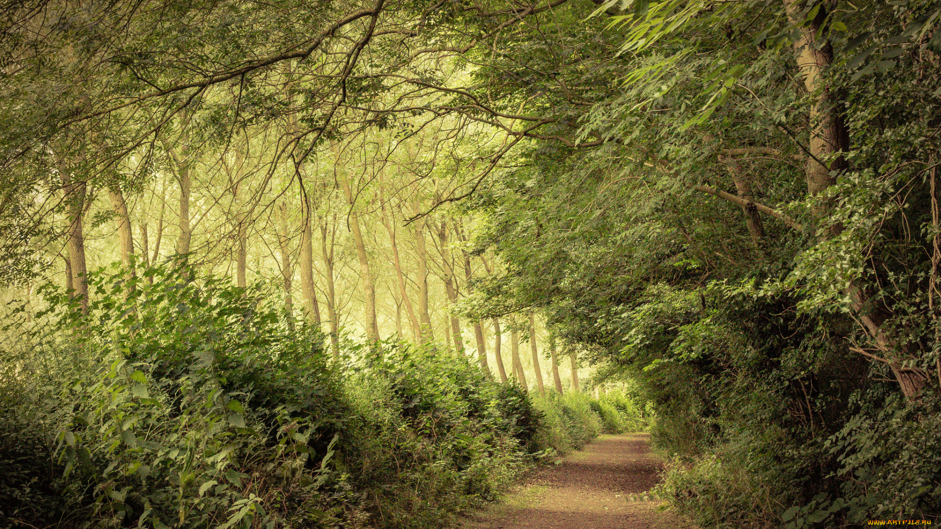 природа, дороги, простор