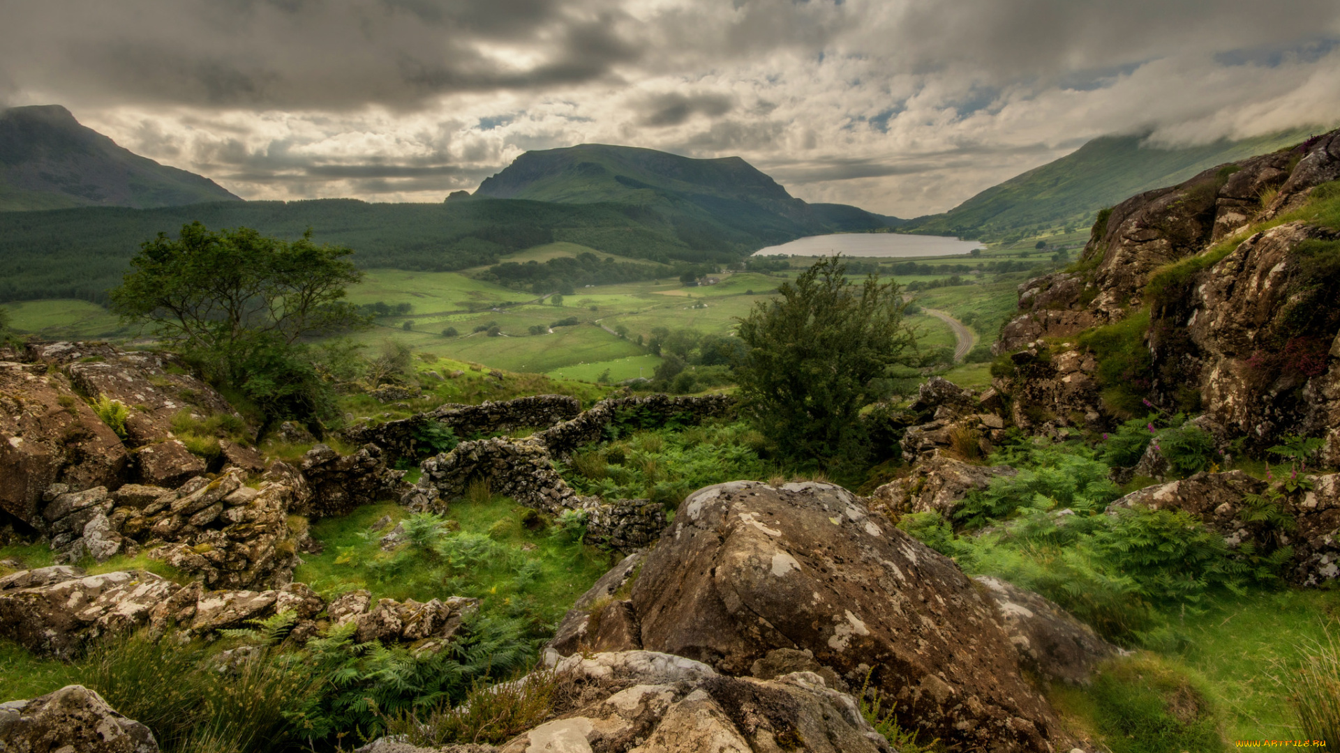 природа, пейзажи, простор