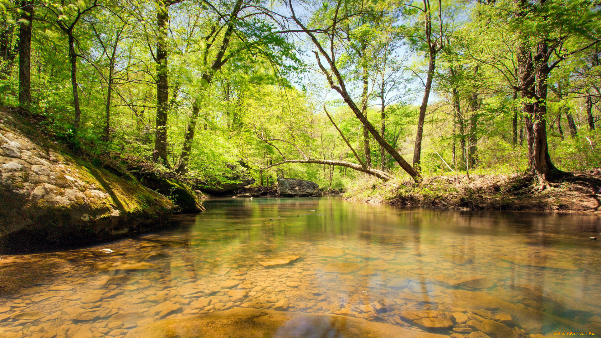 природа, реки, озера, простор