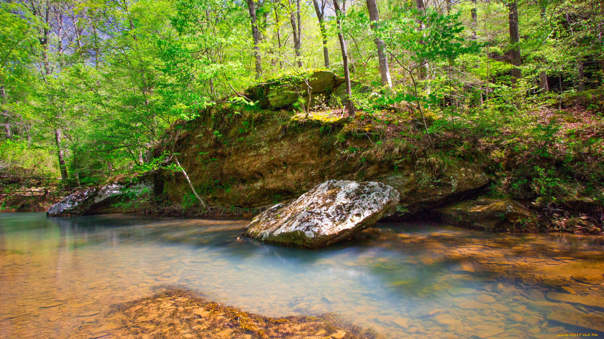 природа, реки, озера, простор