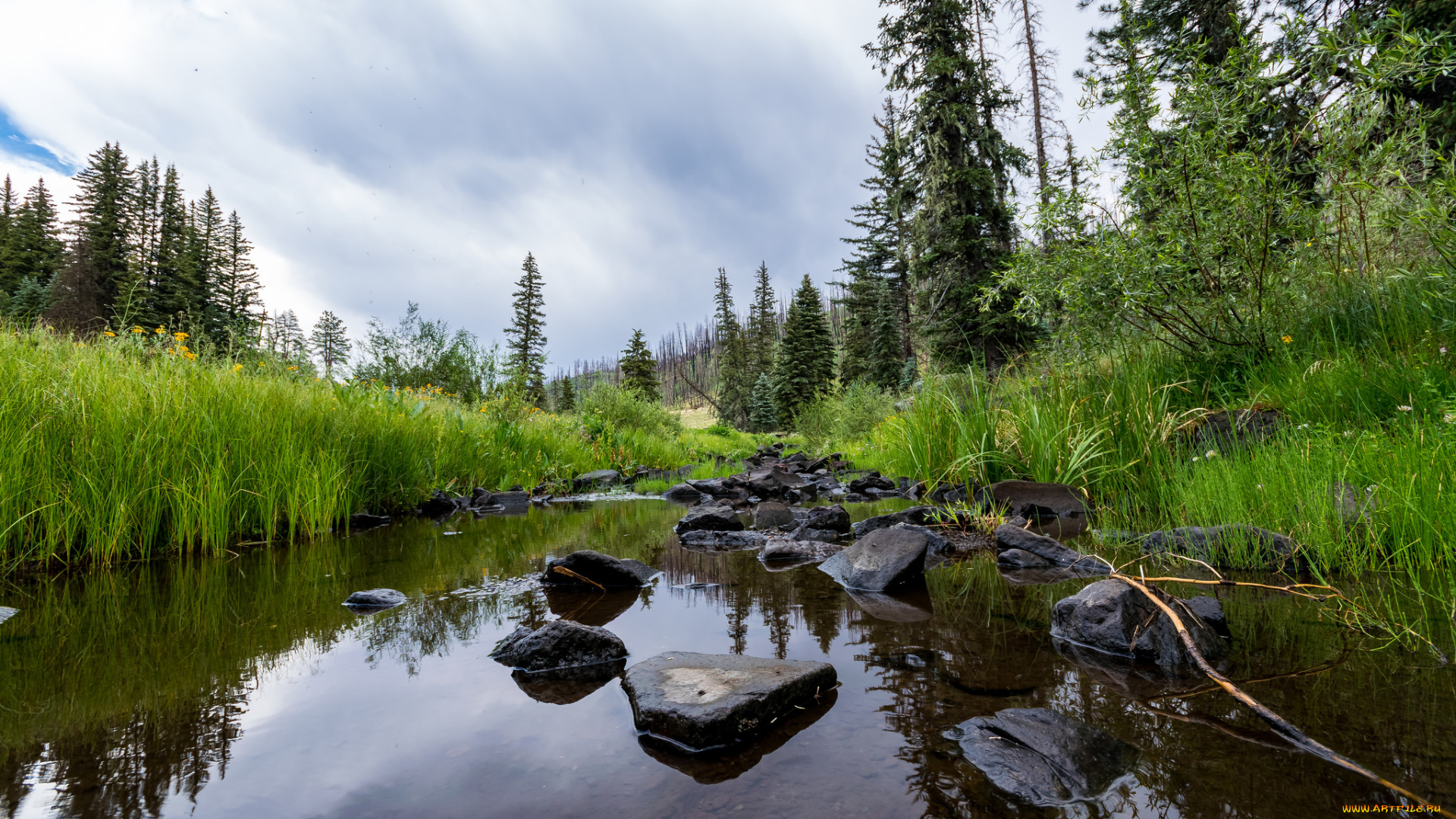 природа, реки, озера, простор