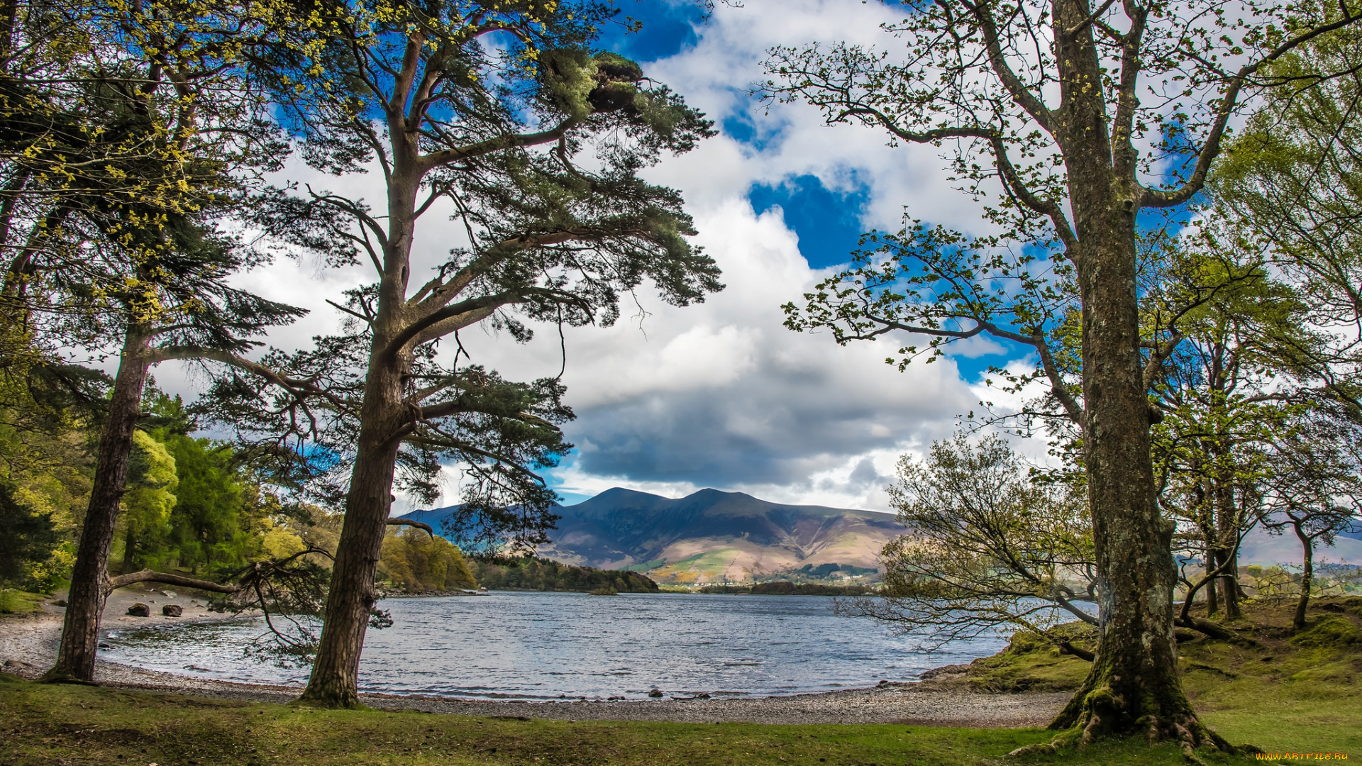 природа, реки, озера, простор