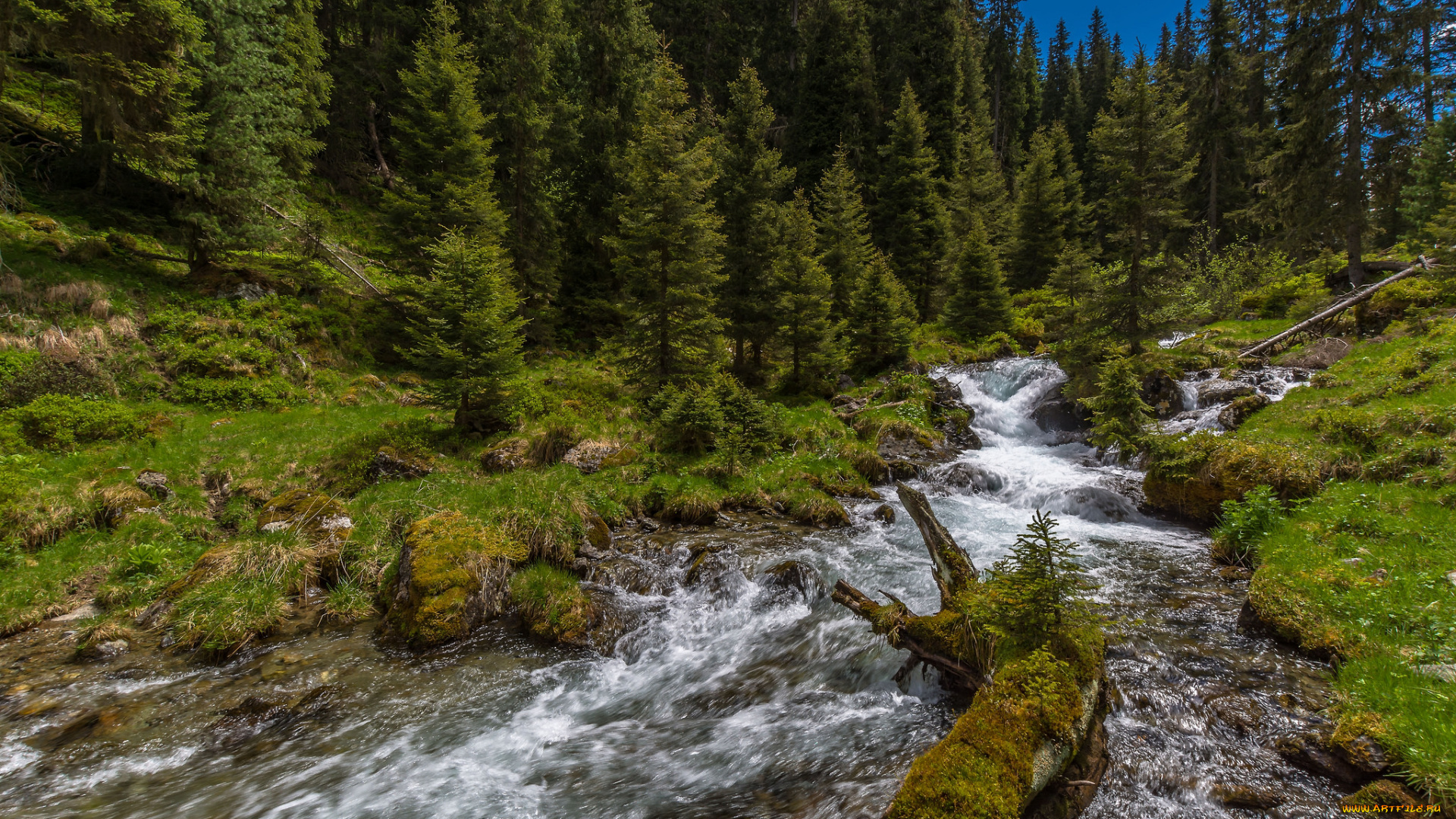 природа, реки, озера, простор