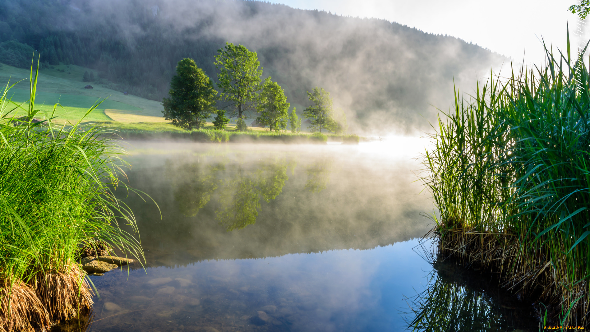 природа, реки, озера, простор