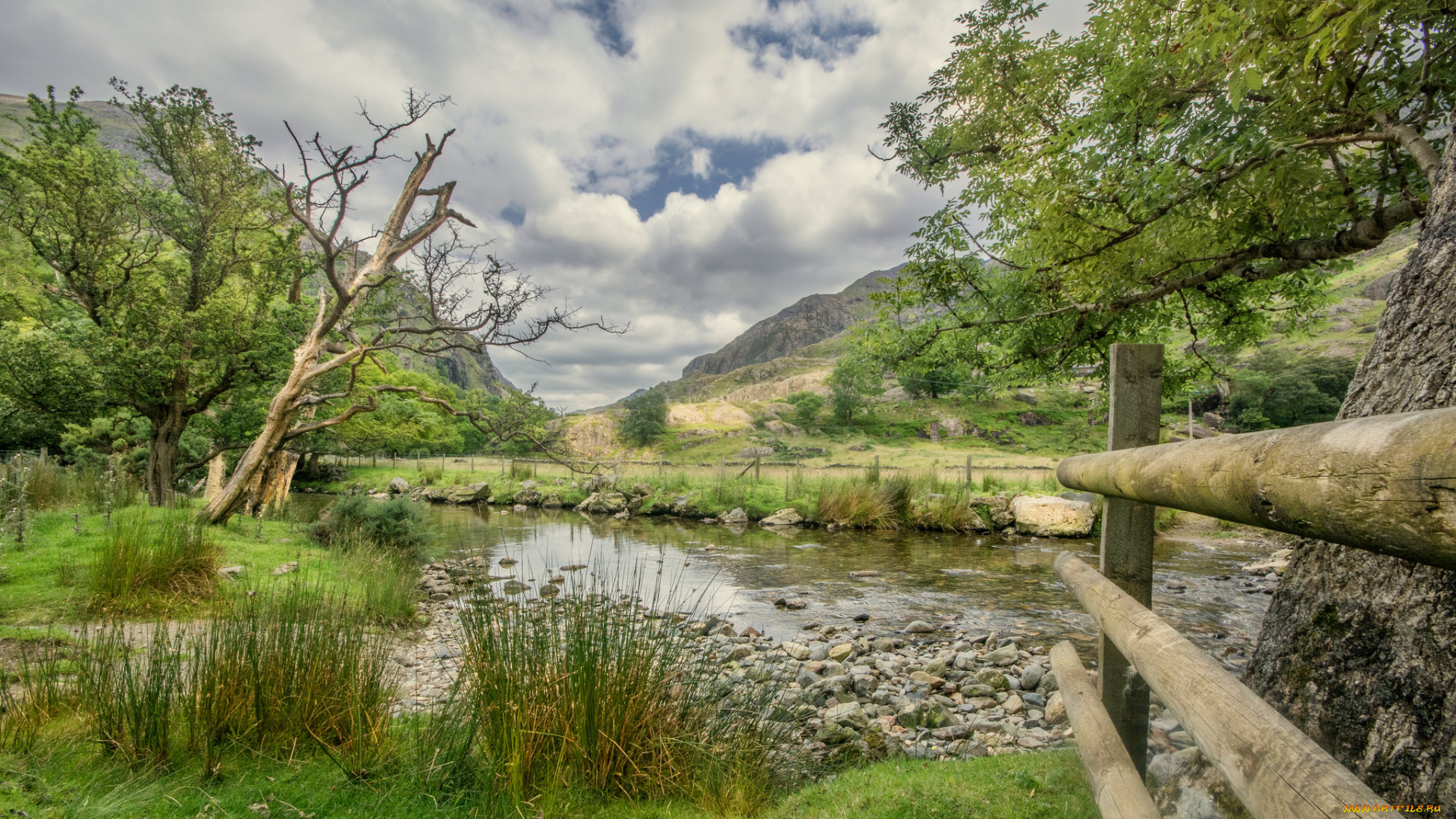 природа, реки, озера, простор