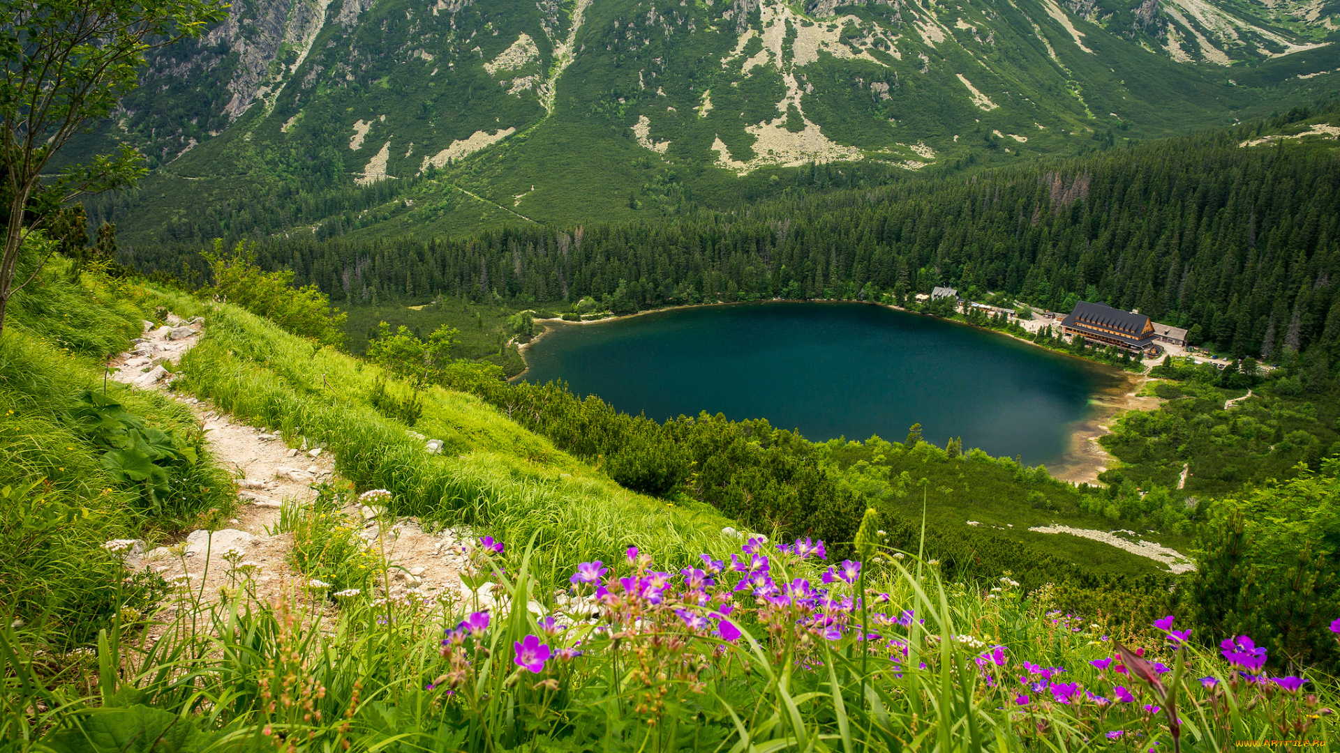 природа, реки, озера, простор