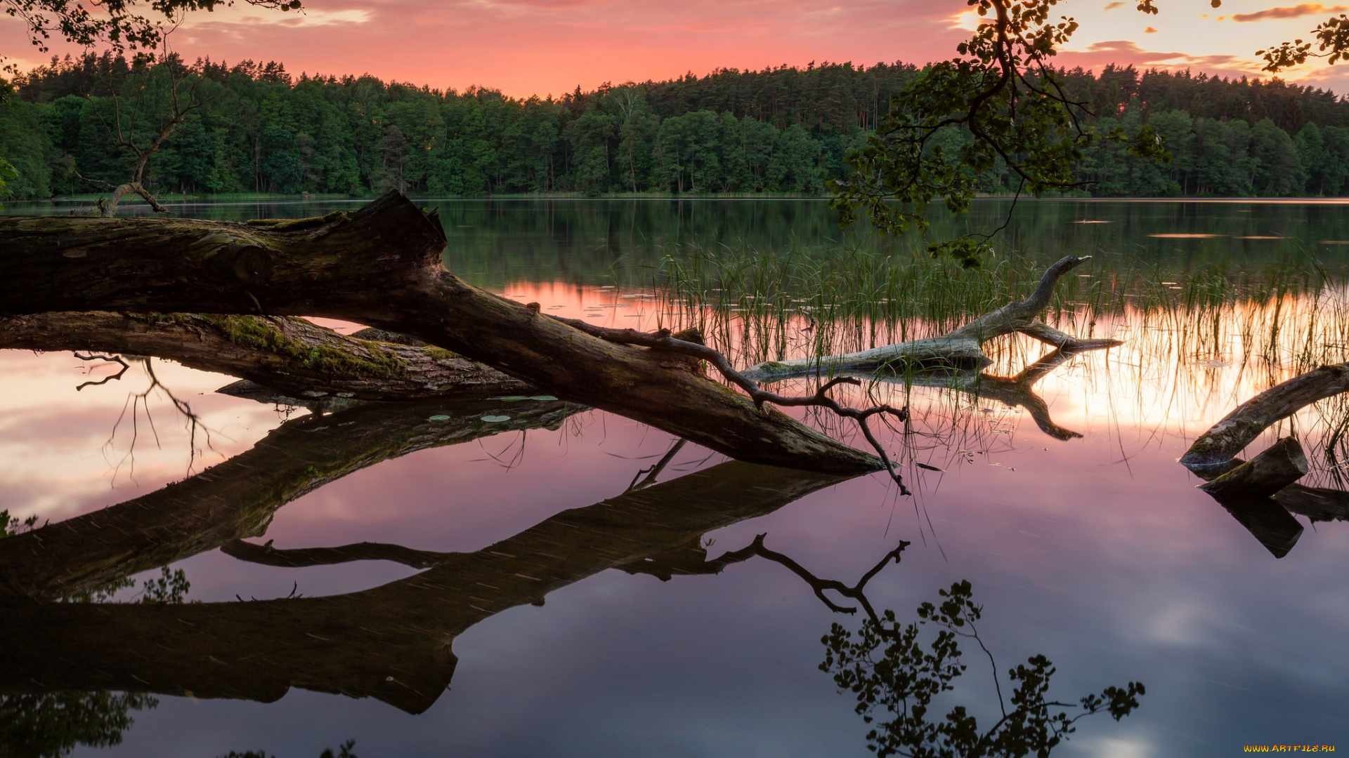 природа, реки, озера, простор