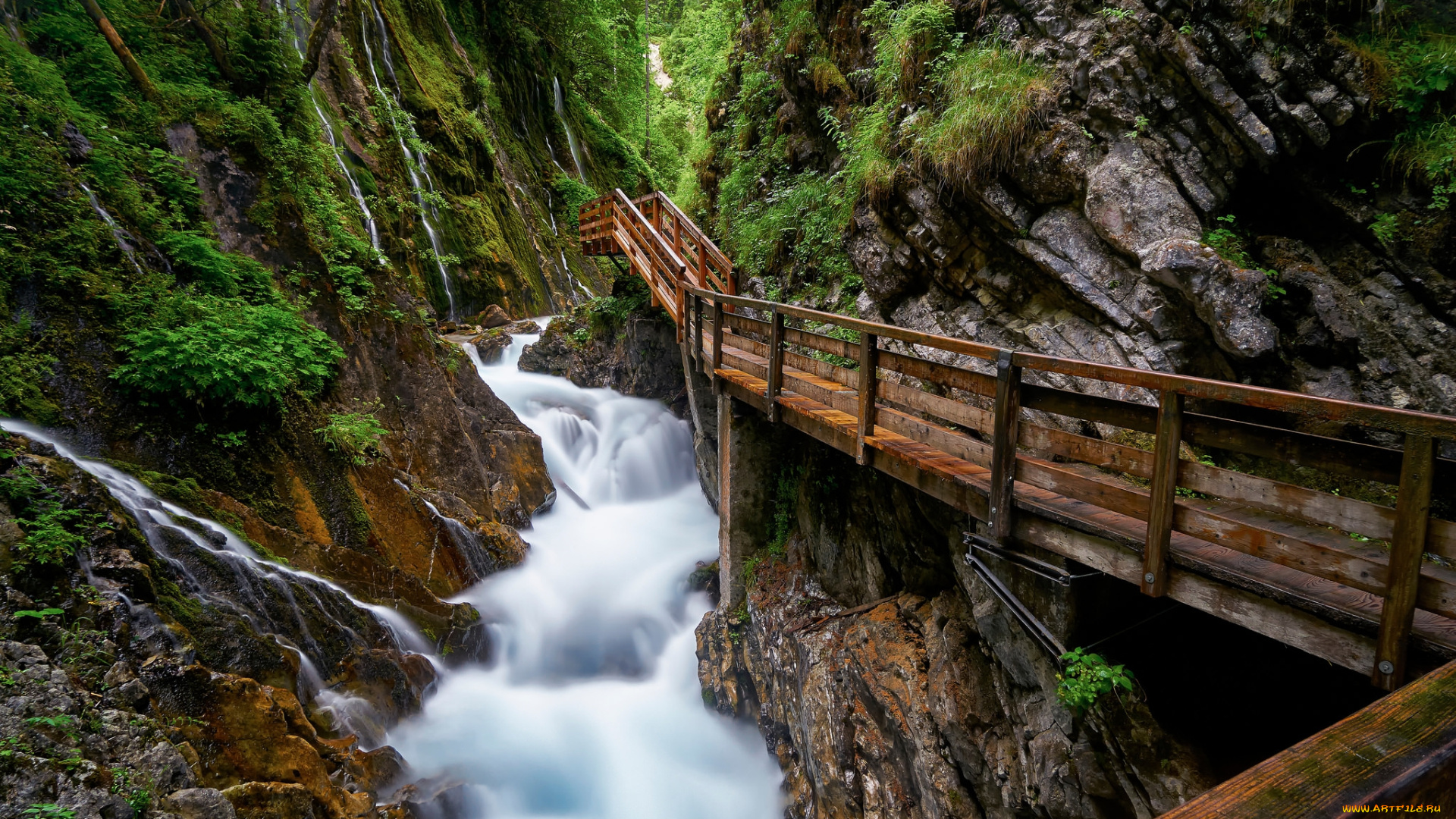 природа, реки, озера, простор