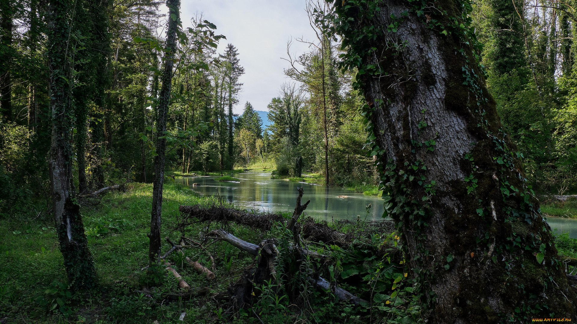 природа, реки, озера, простор
