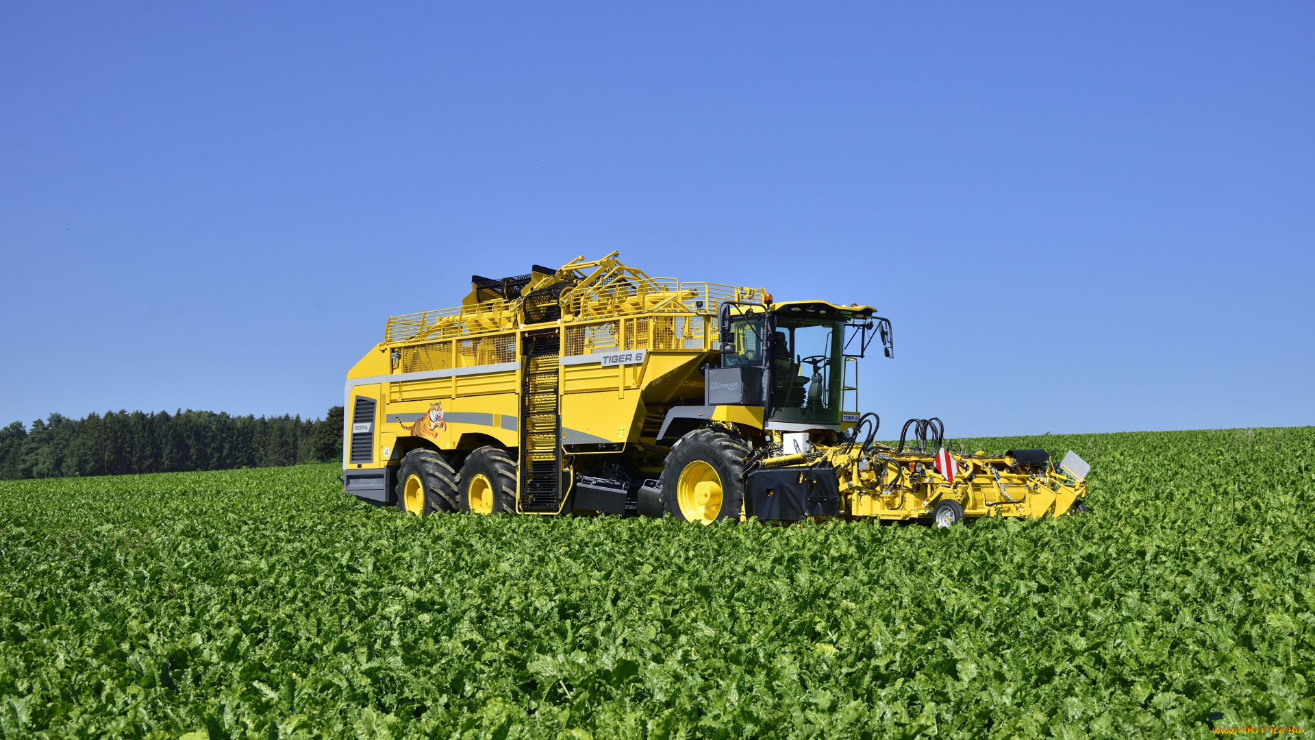 техника, комбайны, ropa
