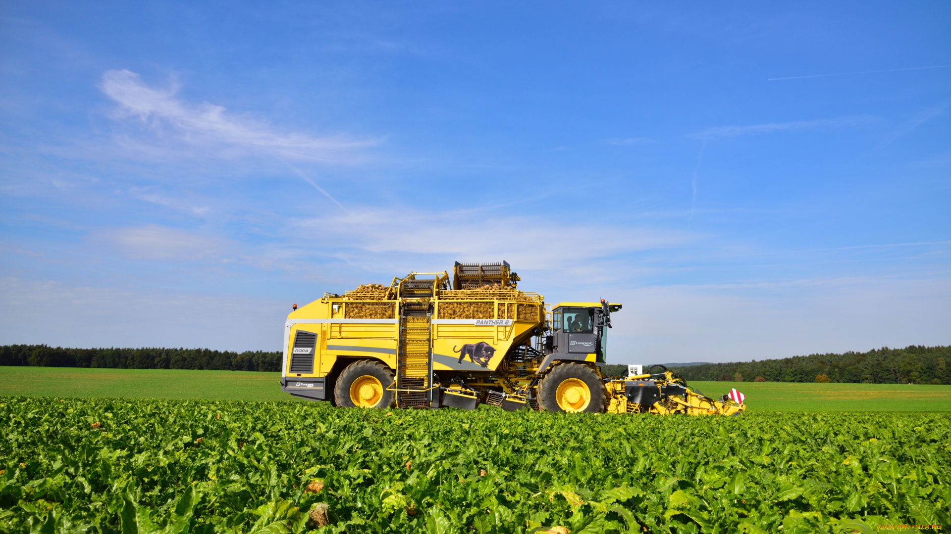 техника, комбайны, ropa